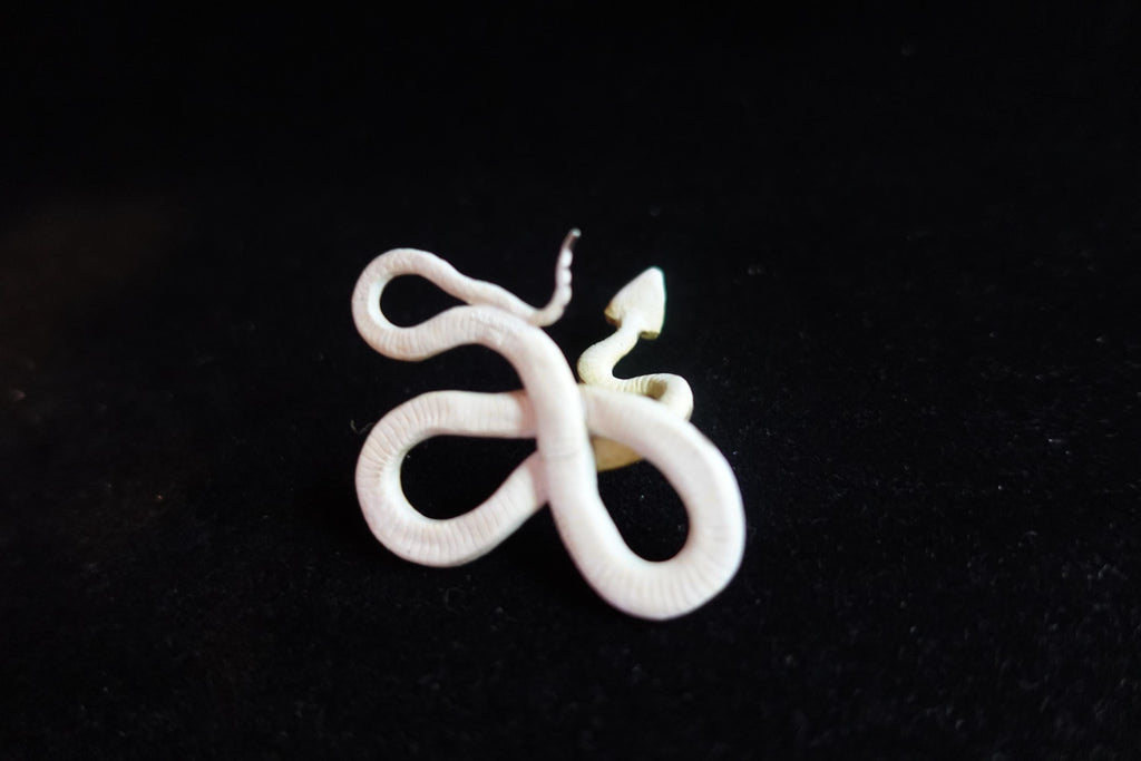 Kaiyodo ChocoQ Animatales Series 7 Spotted Pit Viper Snake