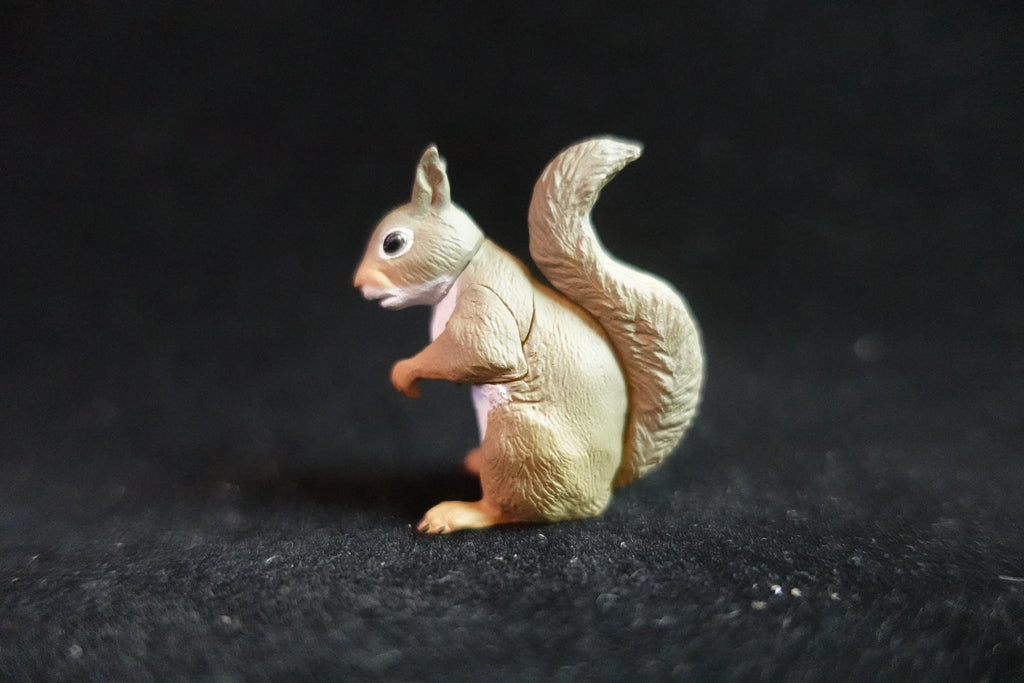 Kaiyodo ChocoQ Animatales Series 7  Japanese Squirrel
