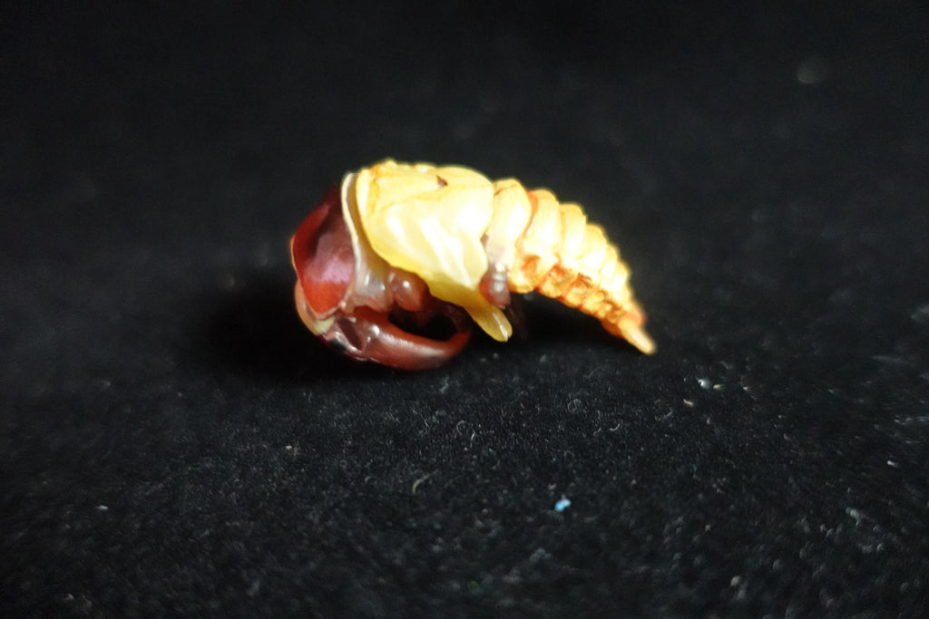 Kaiyodo ChocoQ Animatales Series 7 Secret SP Insect Beetle Pupa Larva C
