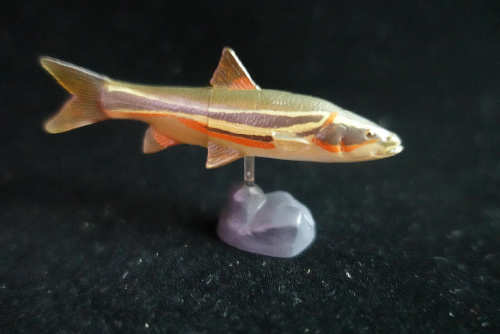 Kaiyodo ChocoQ Animatales Series 7 Masu Trout Fish