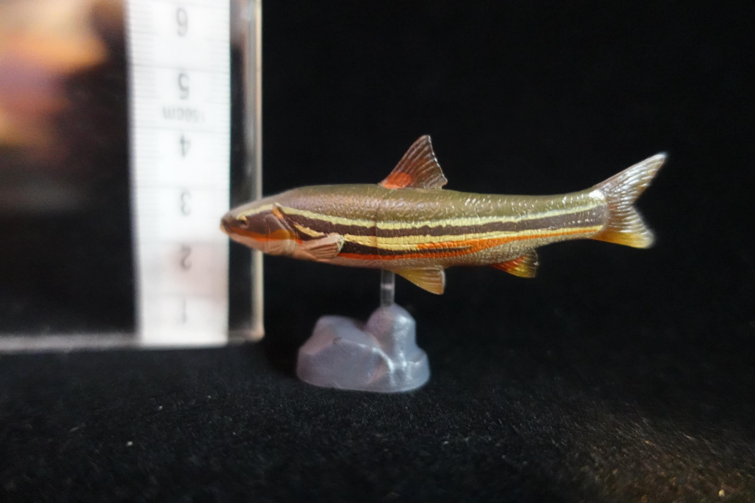 Kaiyodo ChocoQ Animatales Series 7 Masu Trout Fish