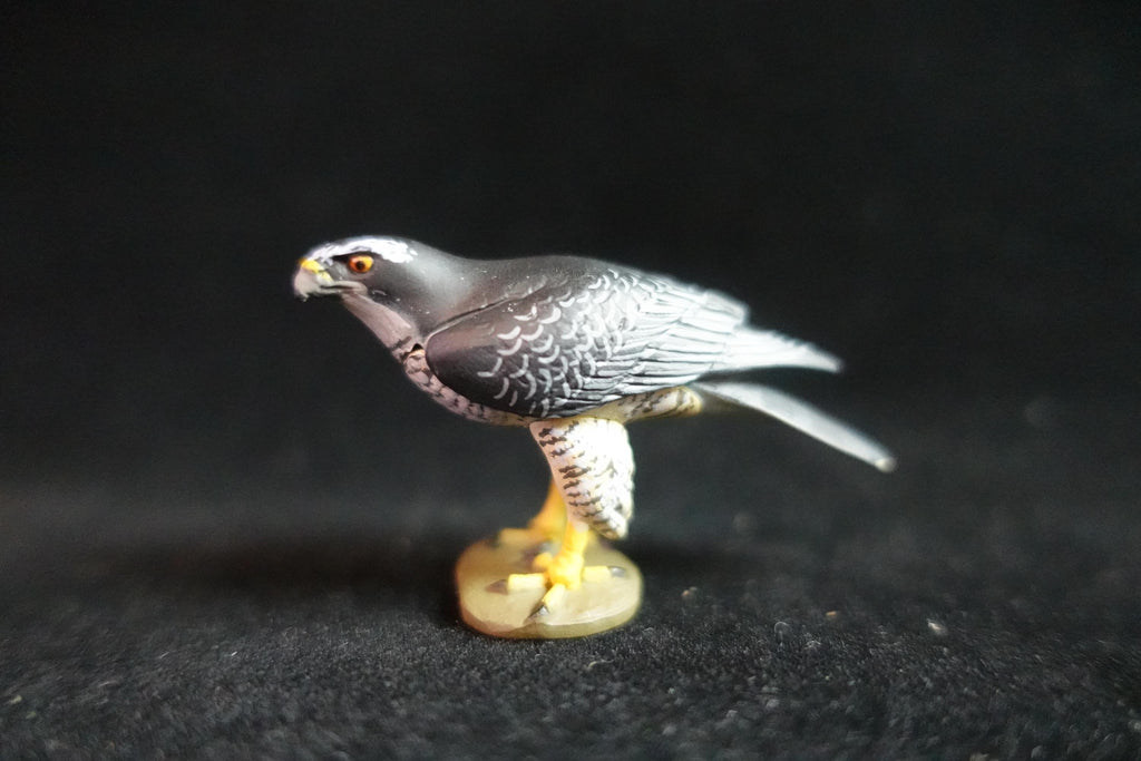 Kaiyodo ChocoQ Animatales Series 7 Goshawk Bird