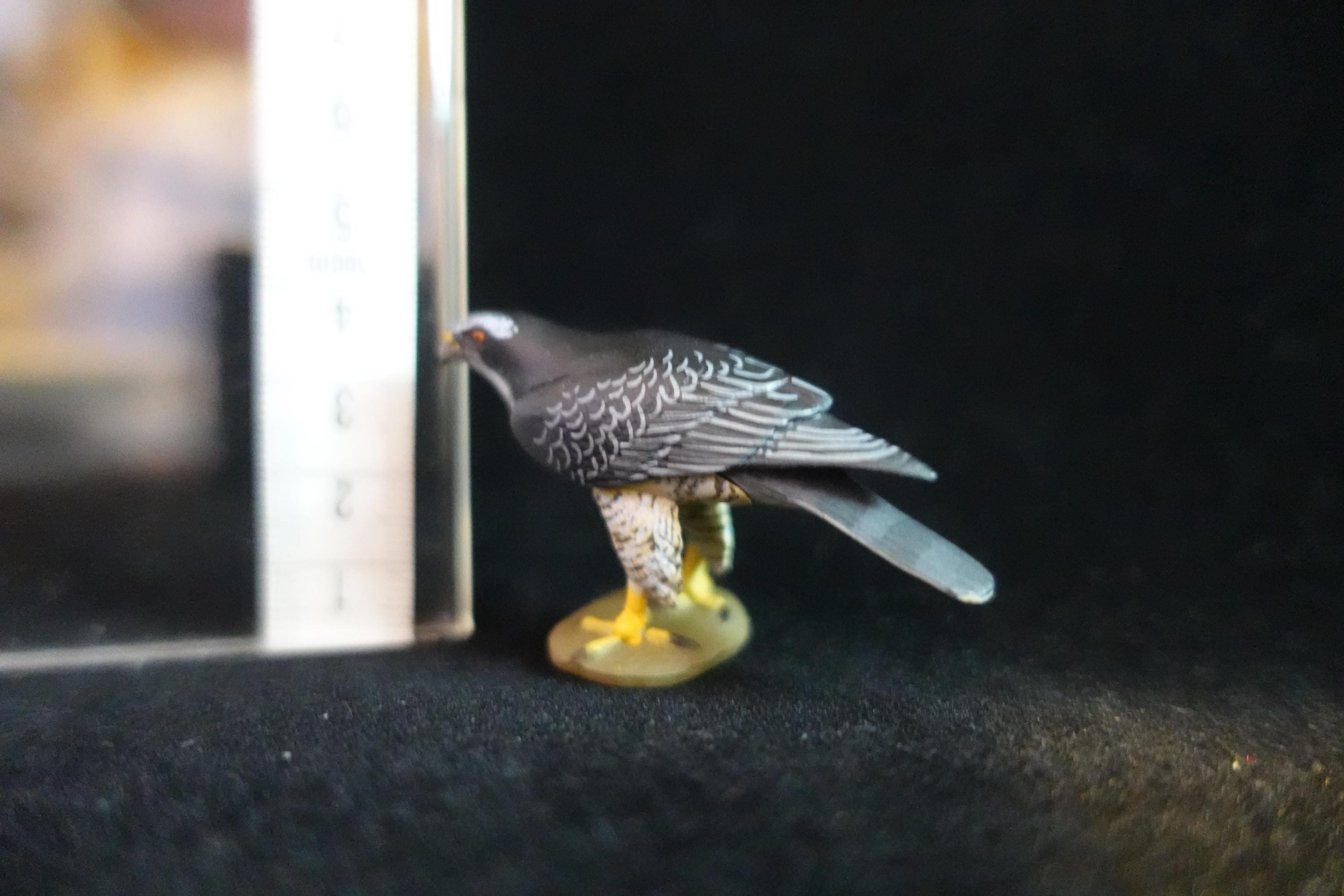 Kaiyodo ChocoQ Animatales Series 7 Goshawk Bird