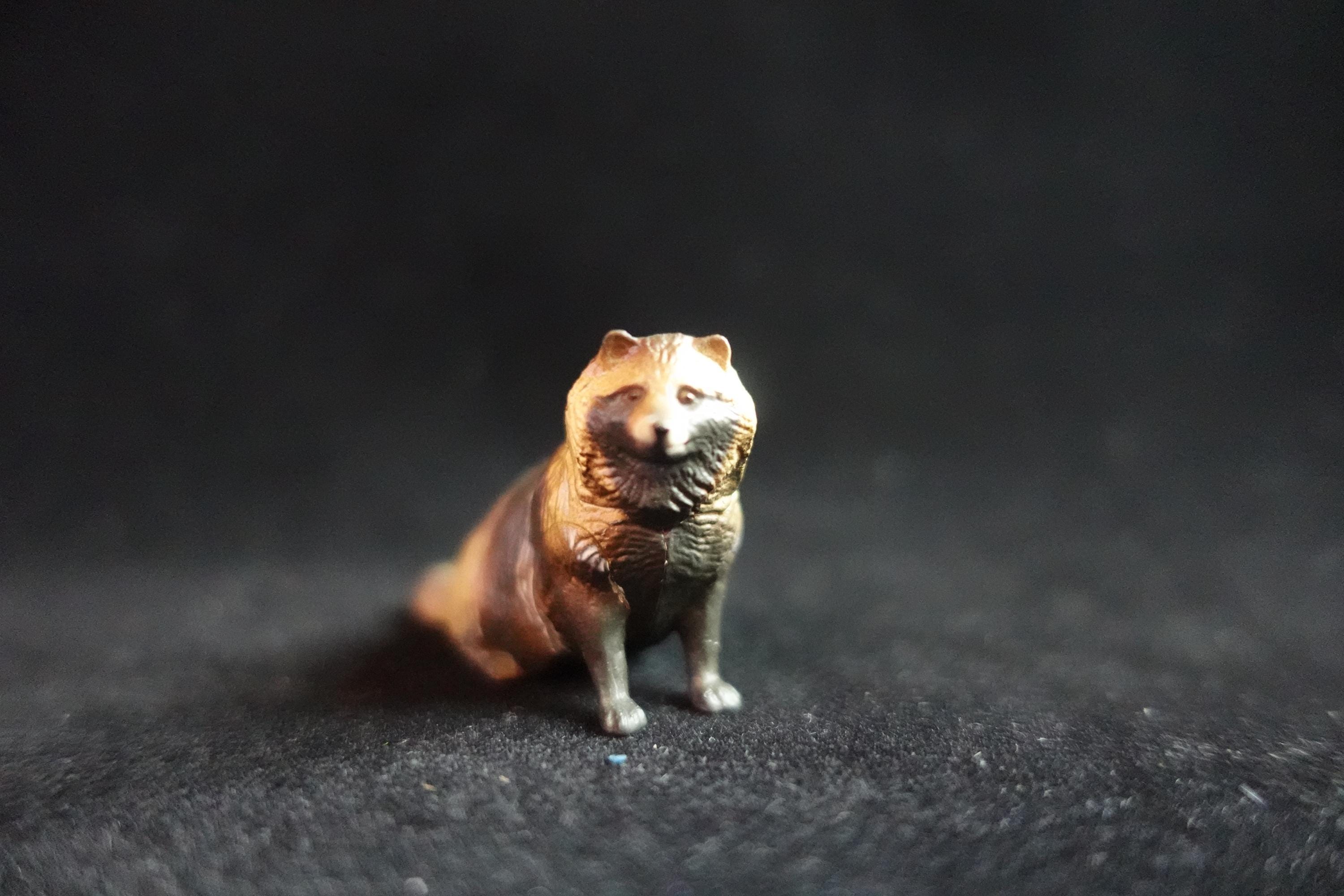Kaiyodo ChocoQ Animatales Series 7 Eastern Racoon