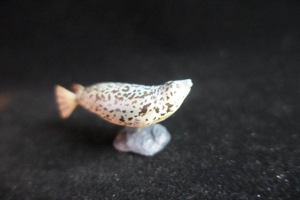 Kaiyodo ChocoQ Animatales Series 7 Spotted Seal Fish