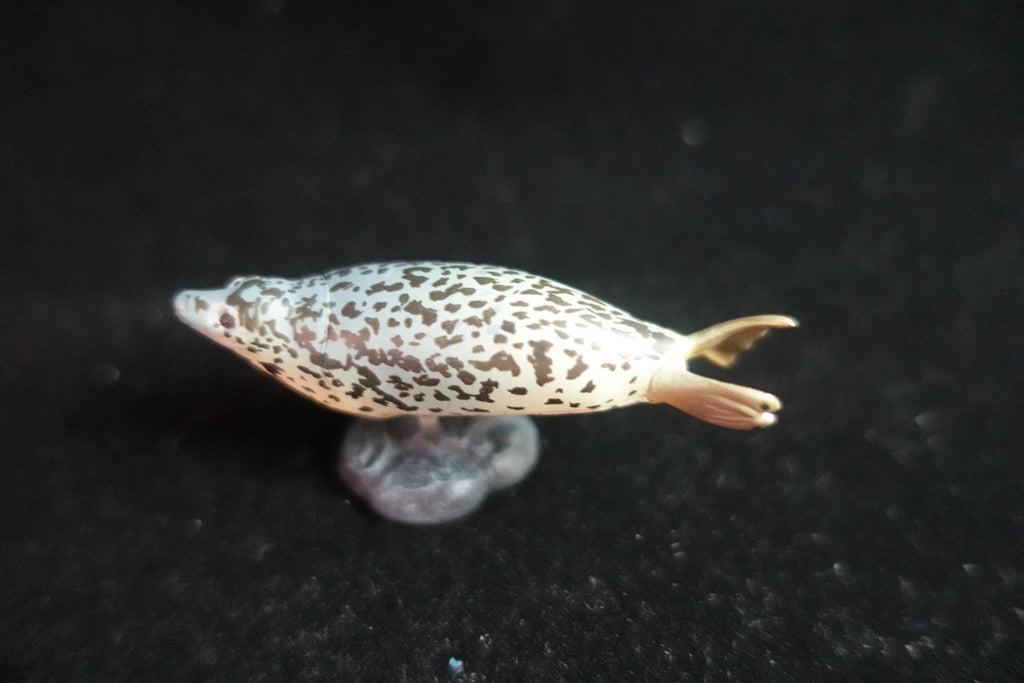 Kaiyodo ChocoQ Animatales Series 7 Spotted Seal Fish