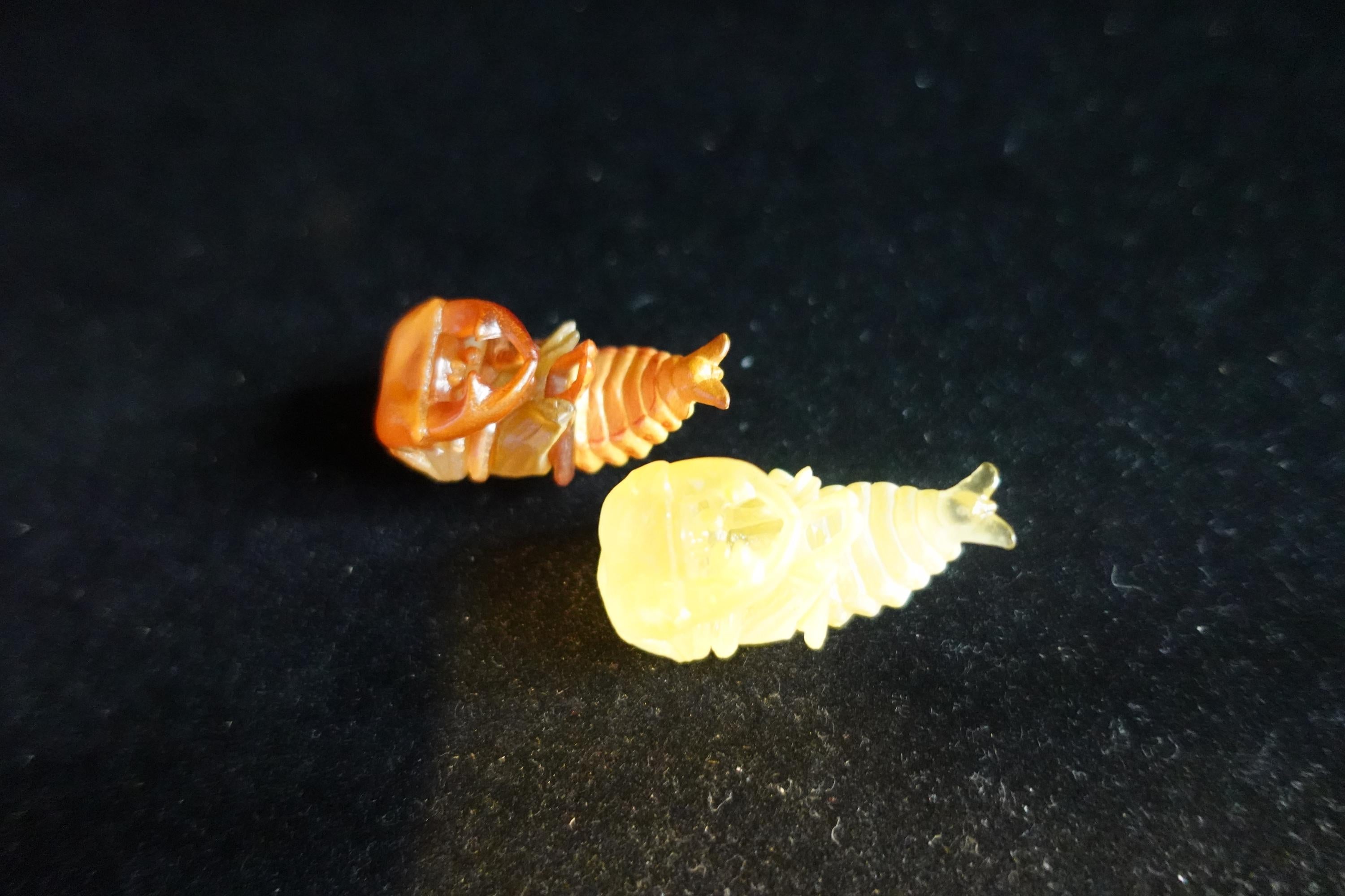 Kaiyodo ChocoQ Animatales Series 7 SP Insect Beetle Pupa Larva A, B (2pcs)