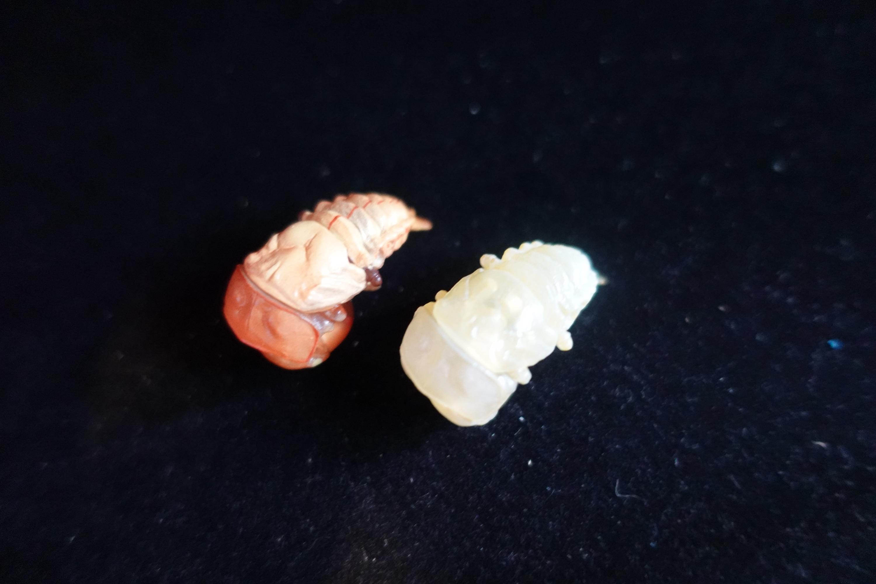 Kaiyodo ChocoQ Animatales Series 7 SP Insect Beetle Pupa Larva A, B (2pcs)