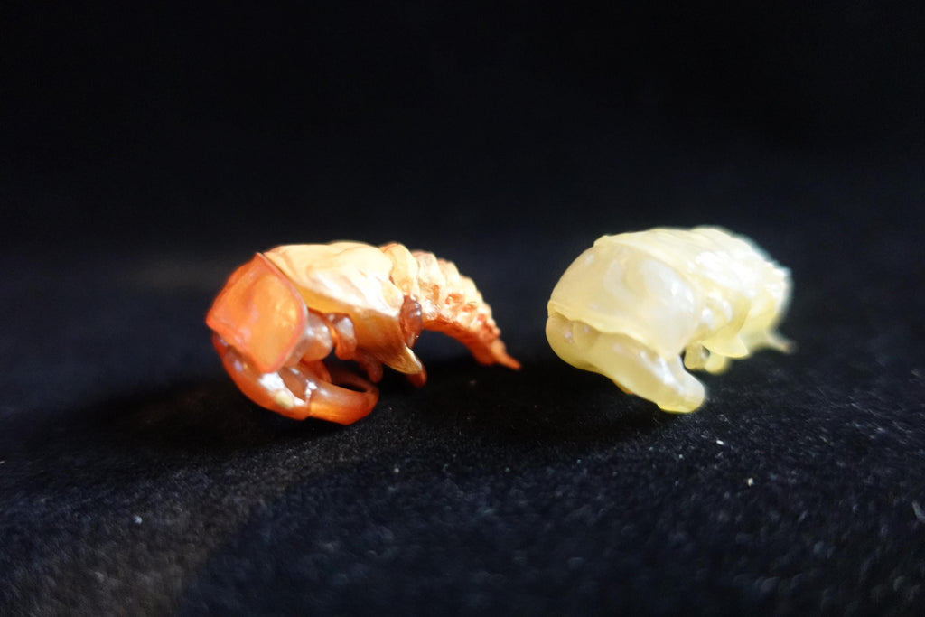 Kaiyodo ChocoQ Animatales Series 7 SP Insect Beetle Pupa Larva A, B (2pcs)