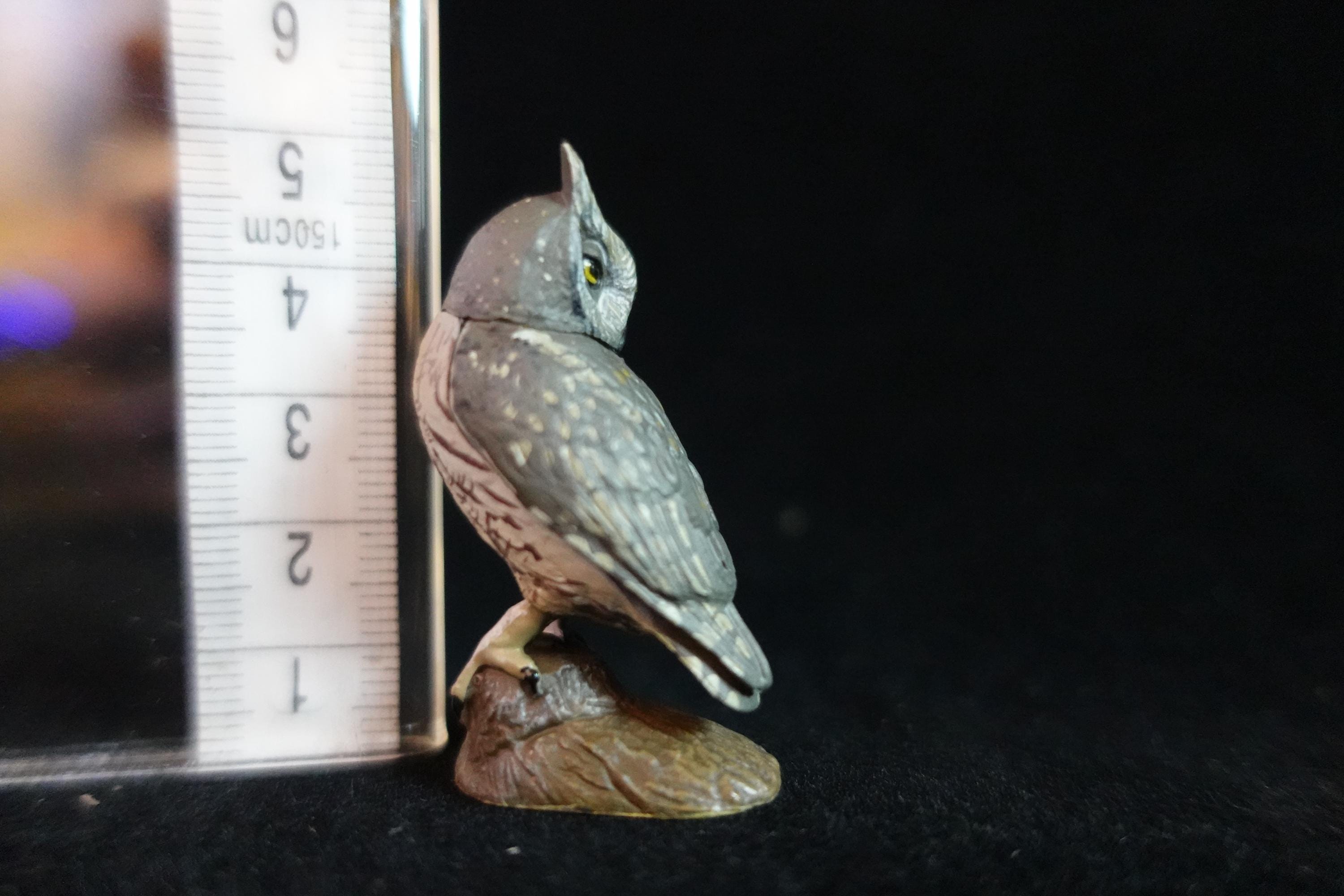 Kaiyodo ChocoQ Animatales Series 8 Japanese Screech Owl A