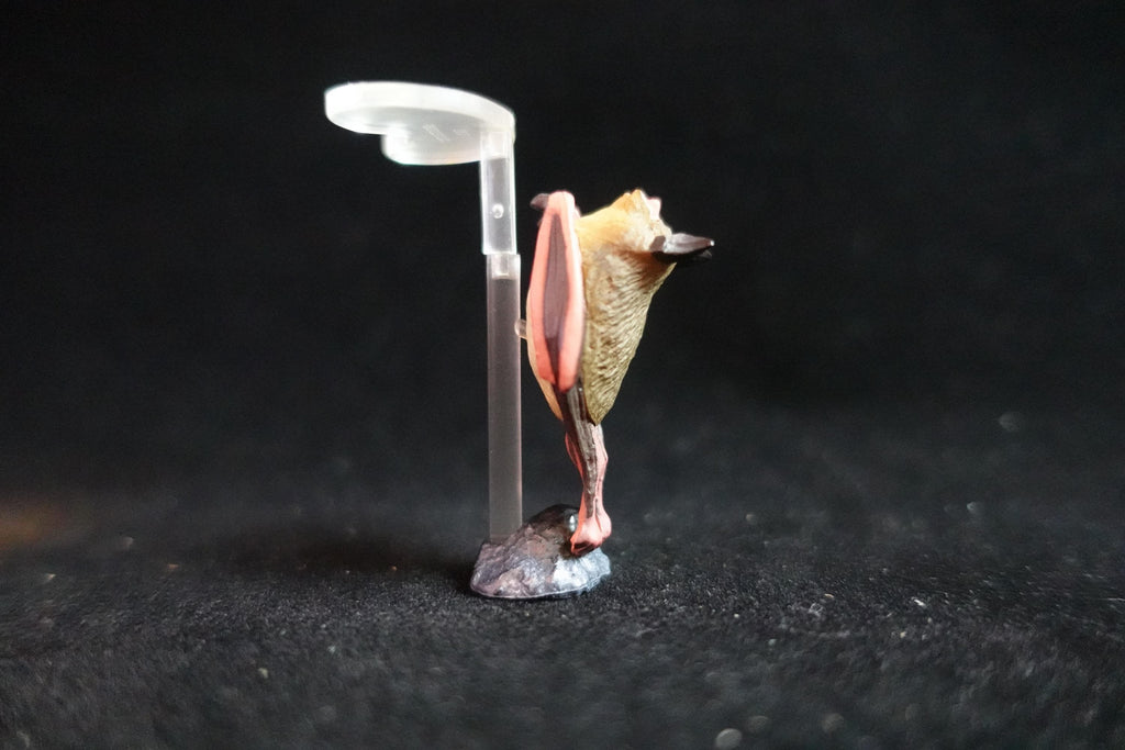 Kaiyodo ChocoQ Animatales Series 8 Horse-shoe bat