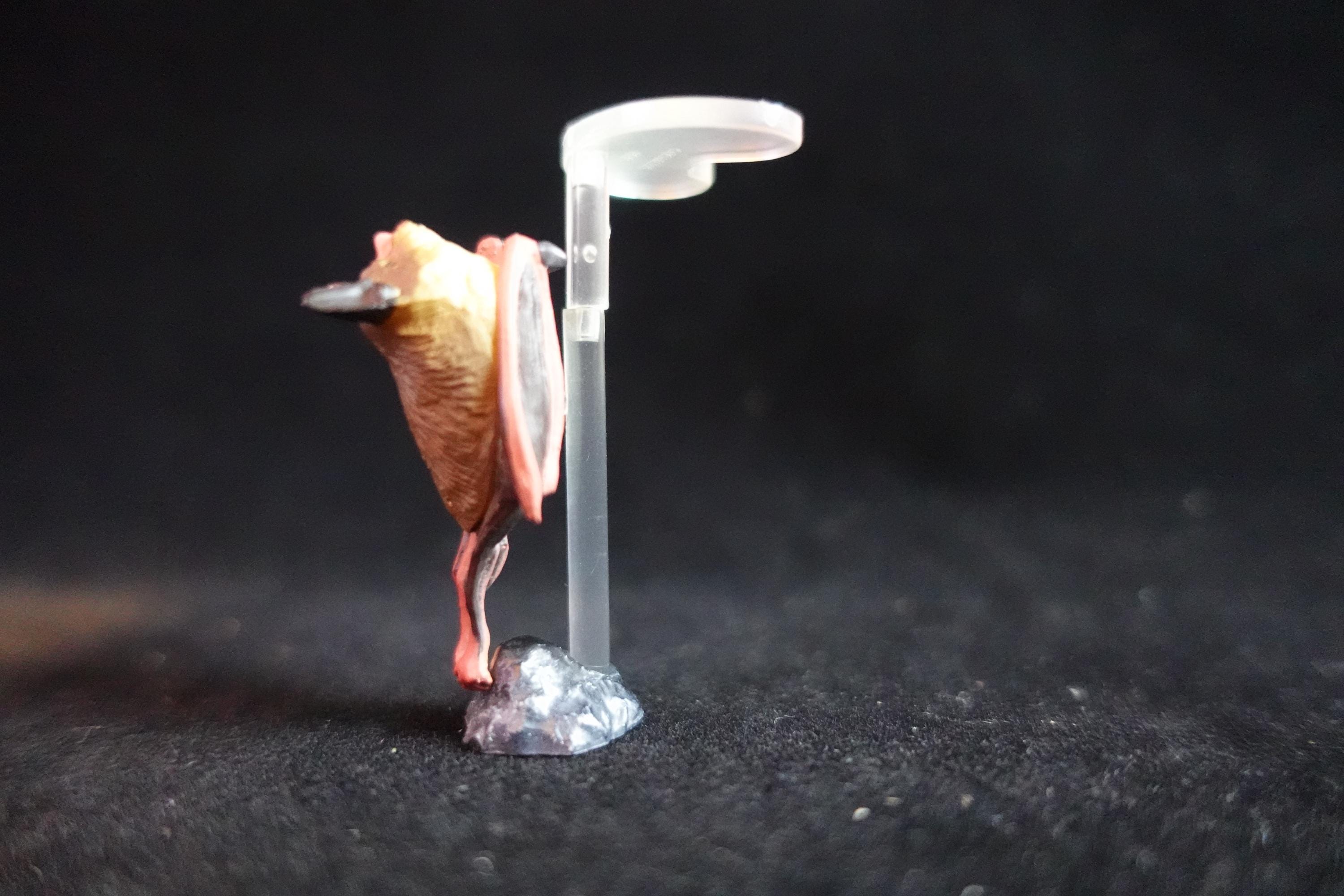 Kaiyodo ChocoQ Animatales Series 8 Horse-shoe bat