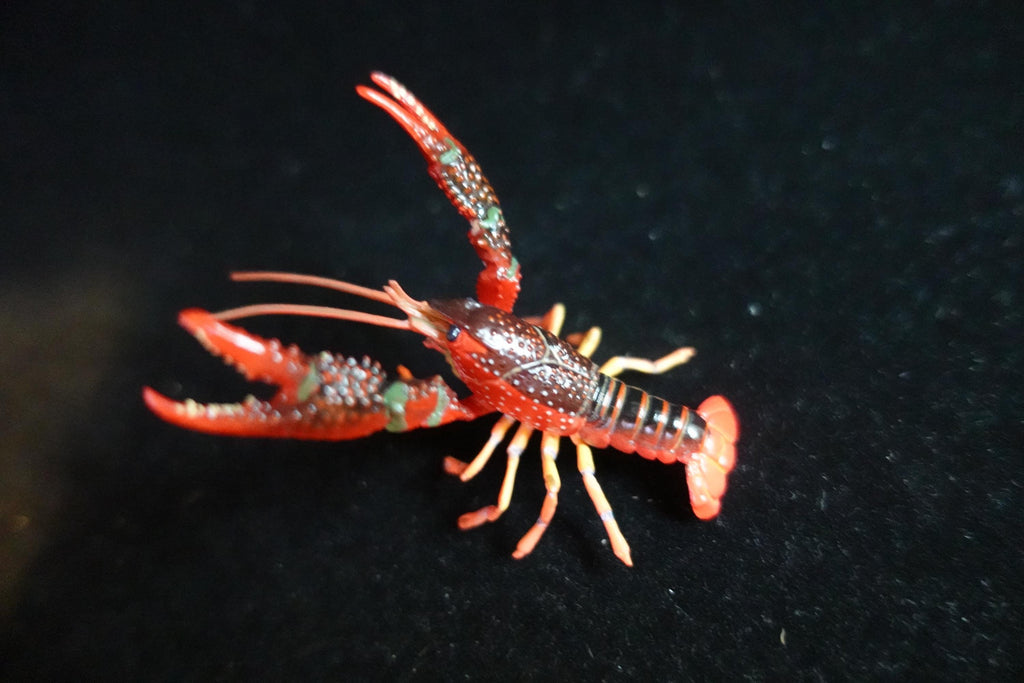 Kaiyodo ChocoQ Animatales Series 8 Red Lobster