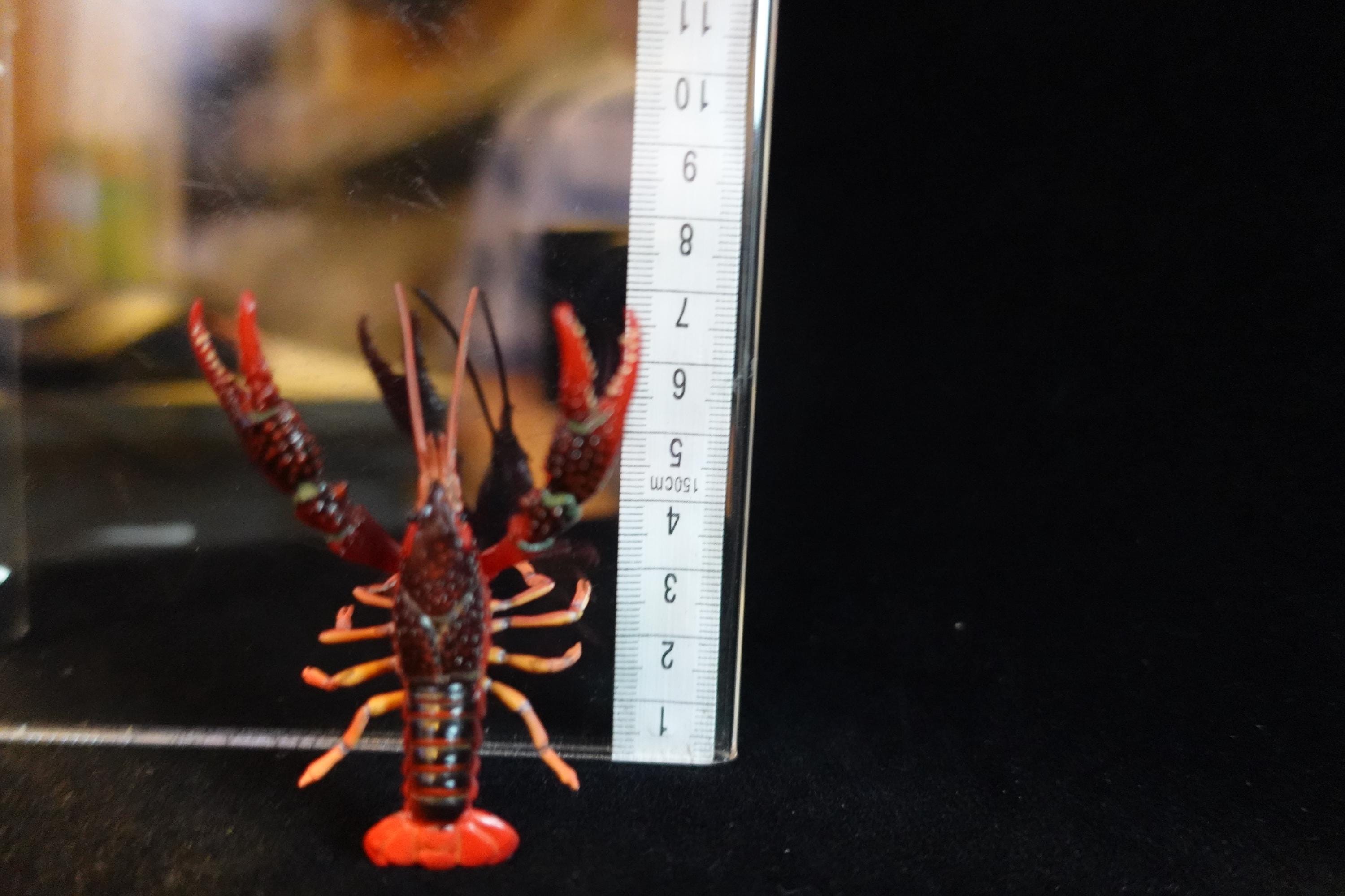 Kaiyodo ChocoQ Animatales Series 8 Red Lobster