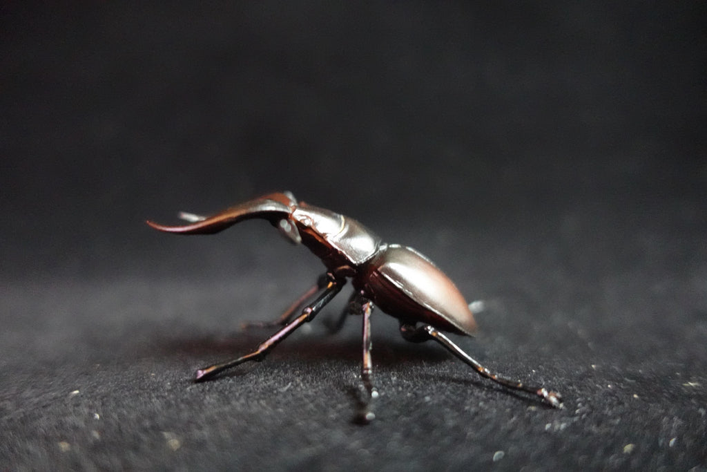 Kaiyodo ChocoQ Animatales Series 8 Tokara stag Beetle A Insect Bug