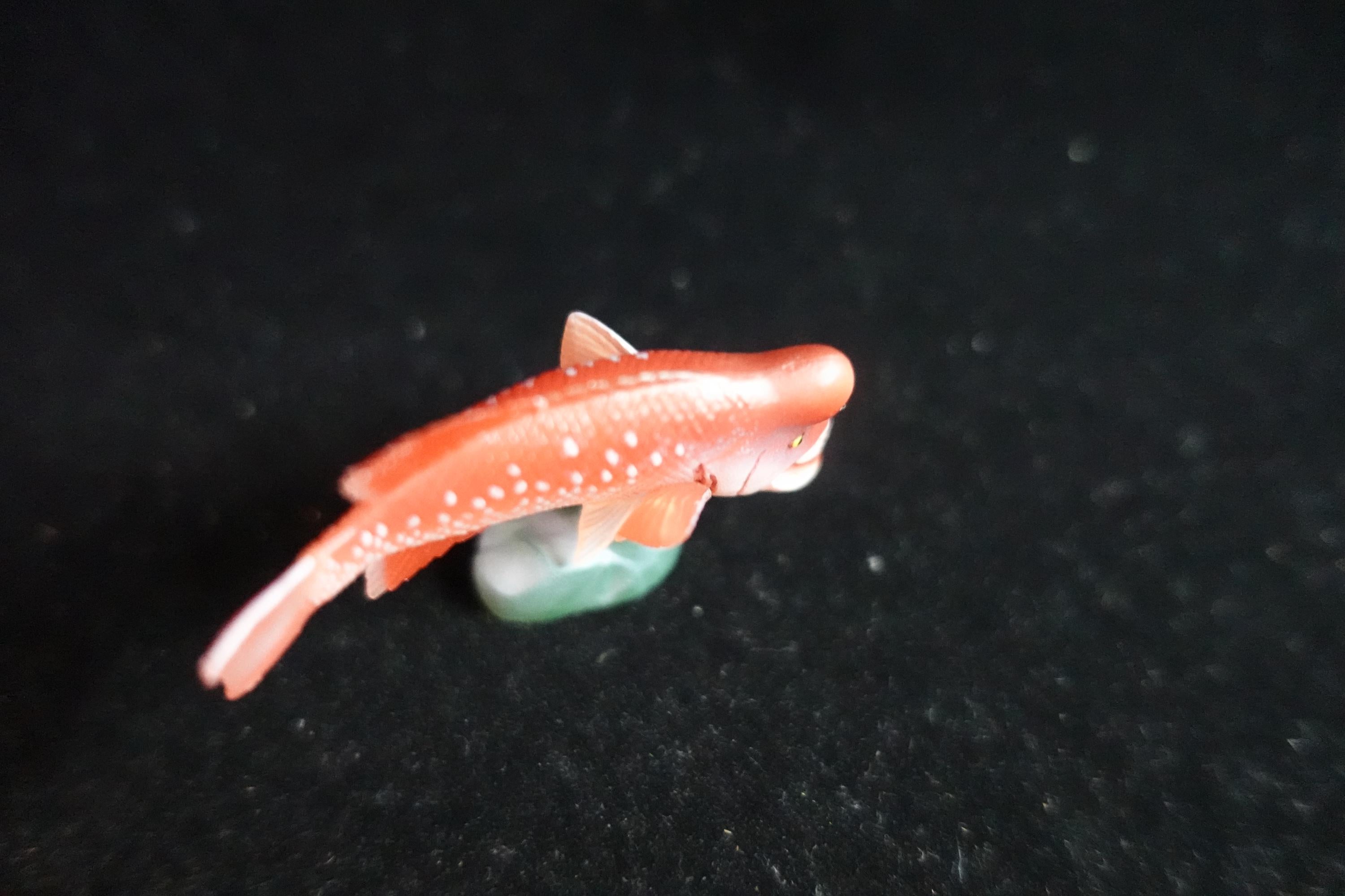 Kaiyodo ChocoQ Animatales Series 8 Bulgy-head Humphead Wrasse Fish