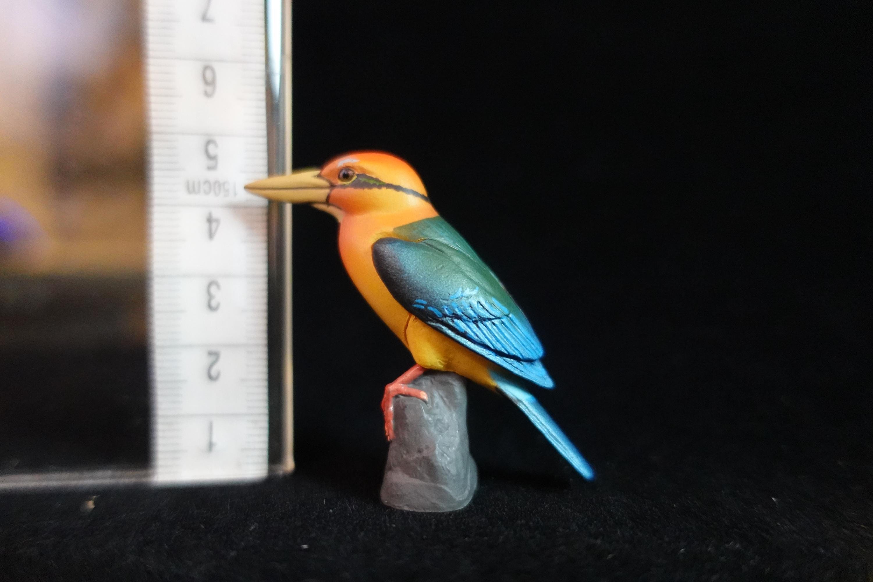 Kaiyodo ChocoQ Animatales Series 8 Kingfisher Bird B Secret Sp
