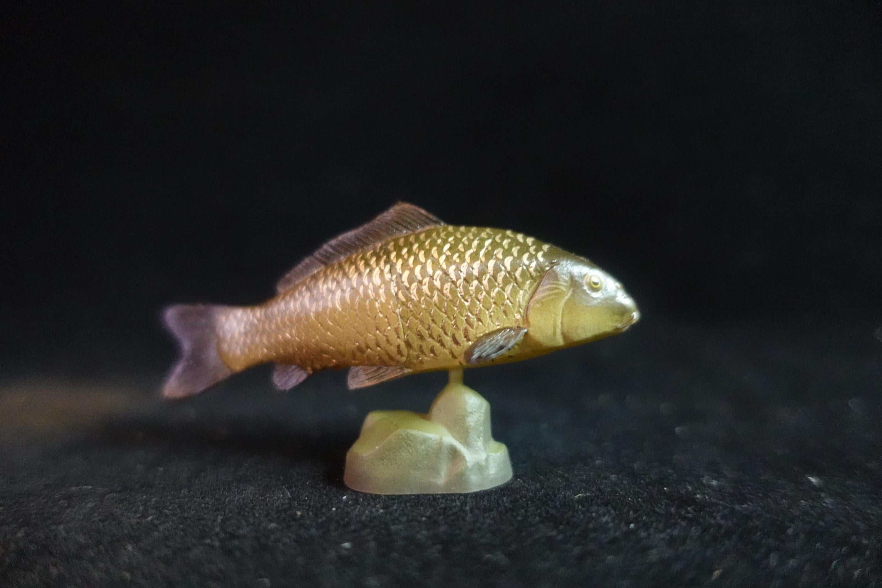 Kaiyodo ChocoQ Animatales Series 8 Black Carp Fish