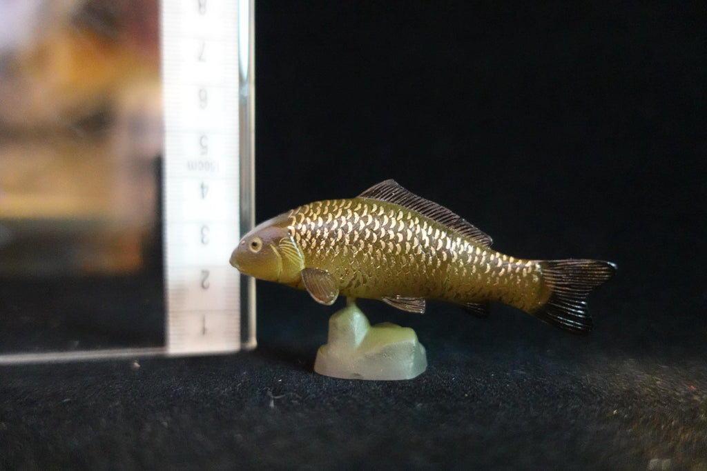 Kaiyodo ChocoQ Animatales Series 8 Black Carp Fish