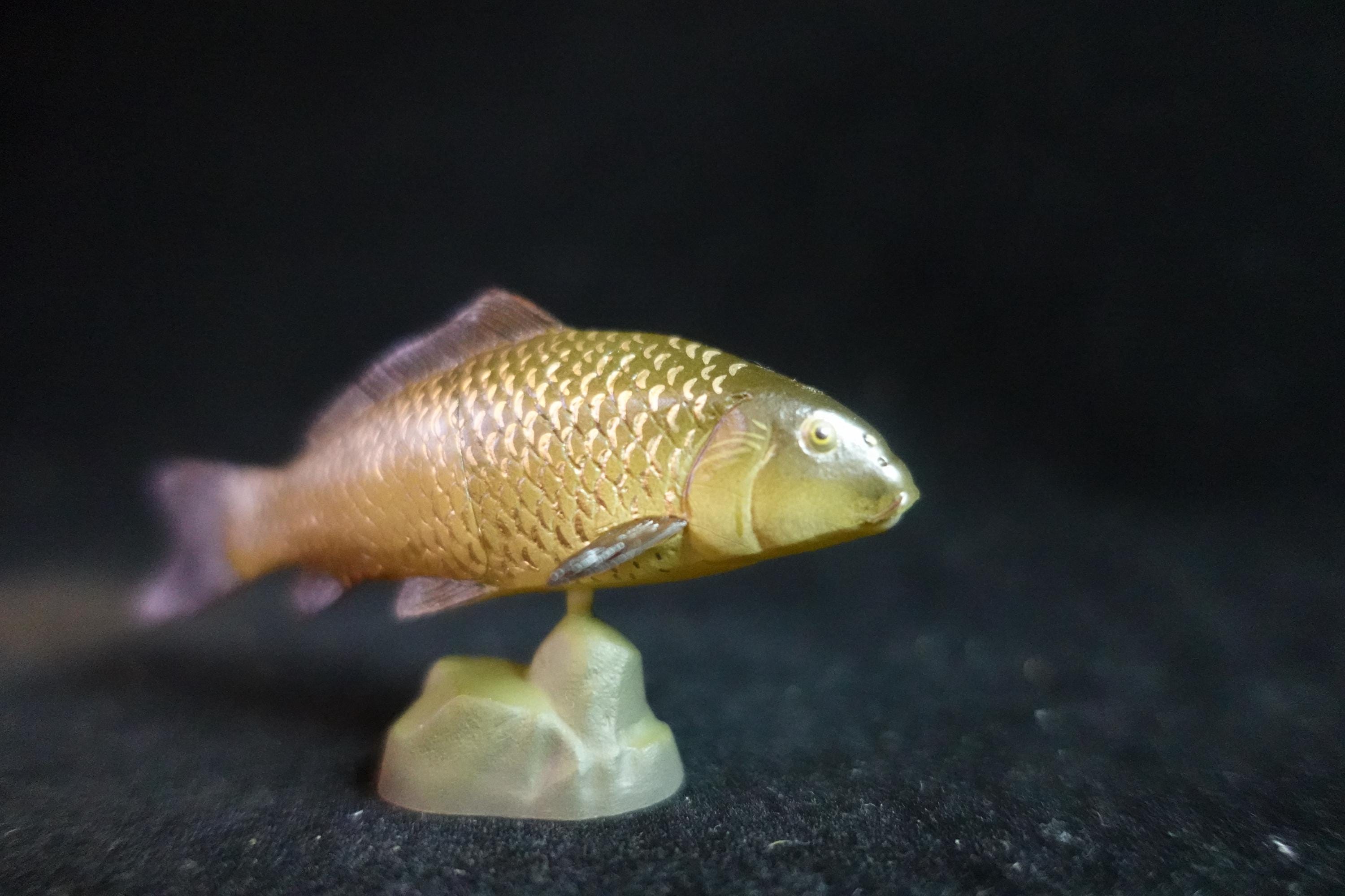 Kaiyodo ChocoQ Animatales Series 8 Black Carp Fish