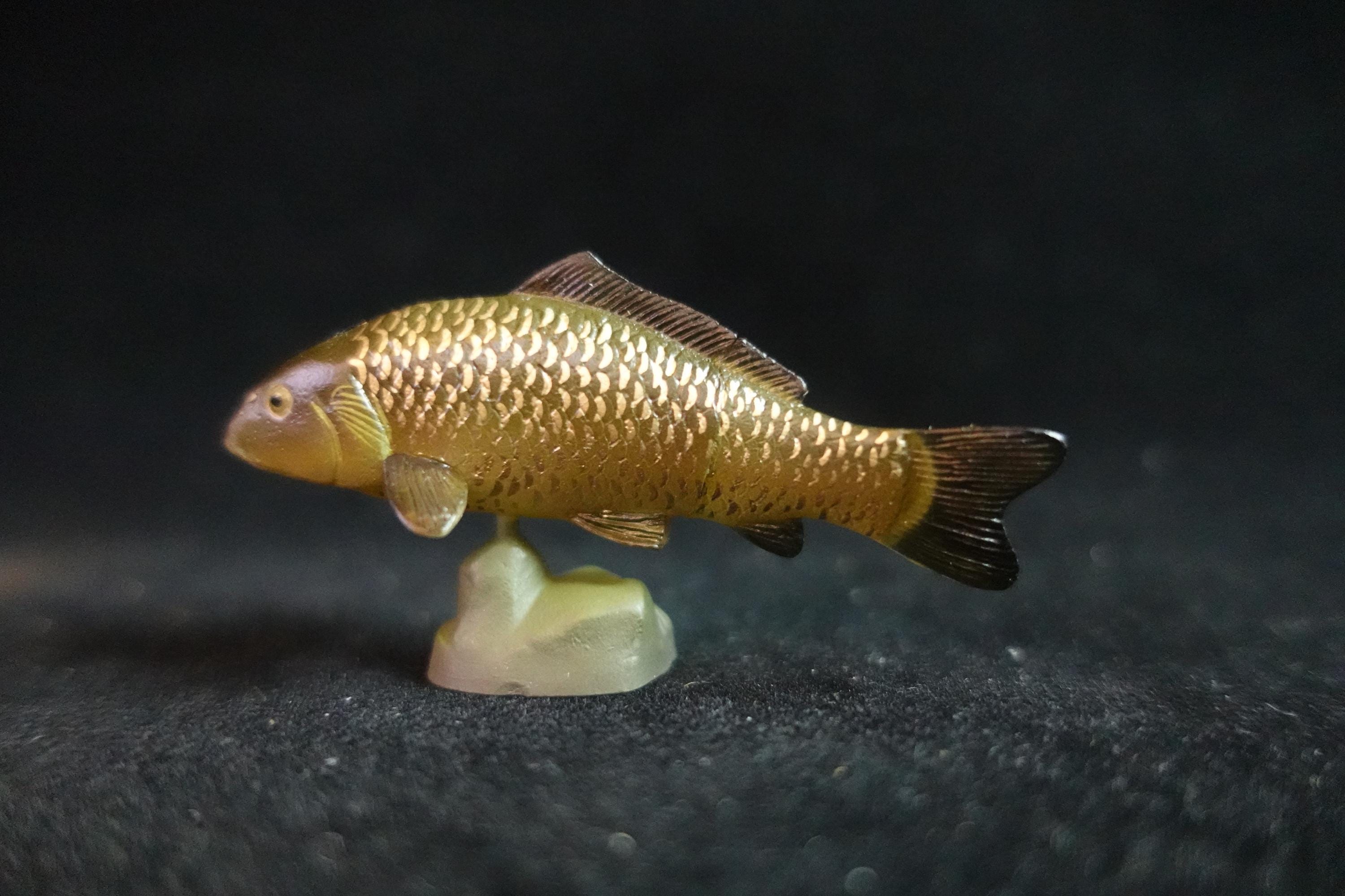 Kaiyodo ChocoQ Animatales Series 8 Black Carp Fish