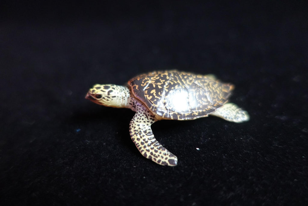Kaiyodo ChocoQ Animatales Series 8 Hawksbill Turtle