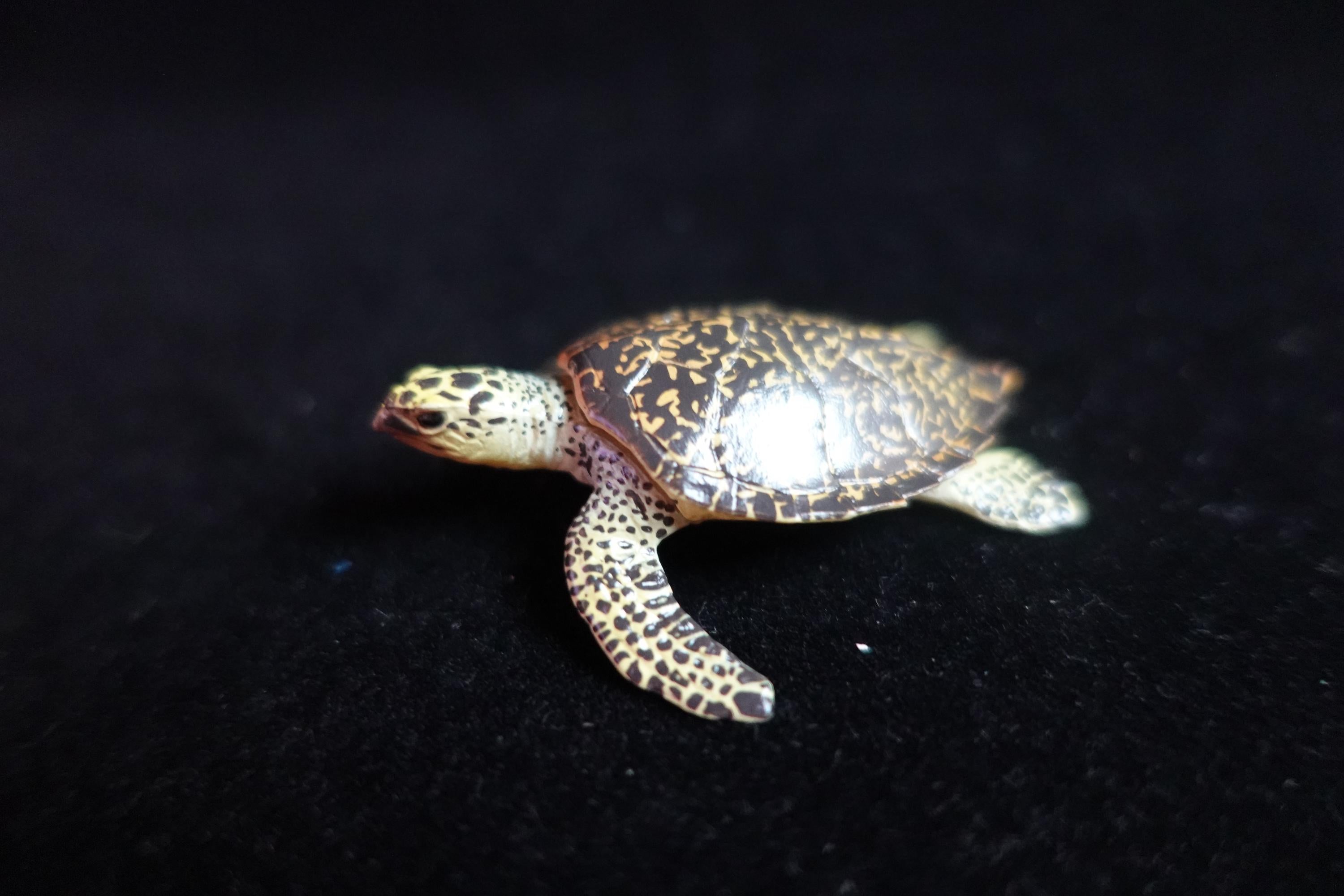 Kaiyodo ChocoQ Animatales Series 8 Hawksbill Turtle