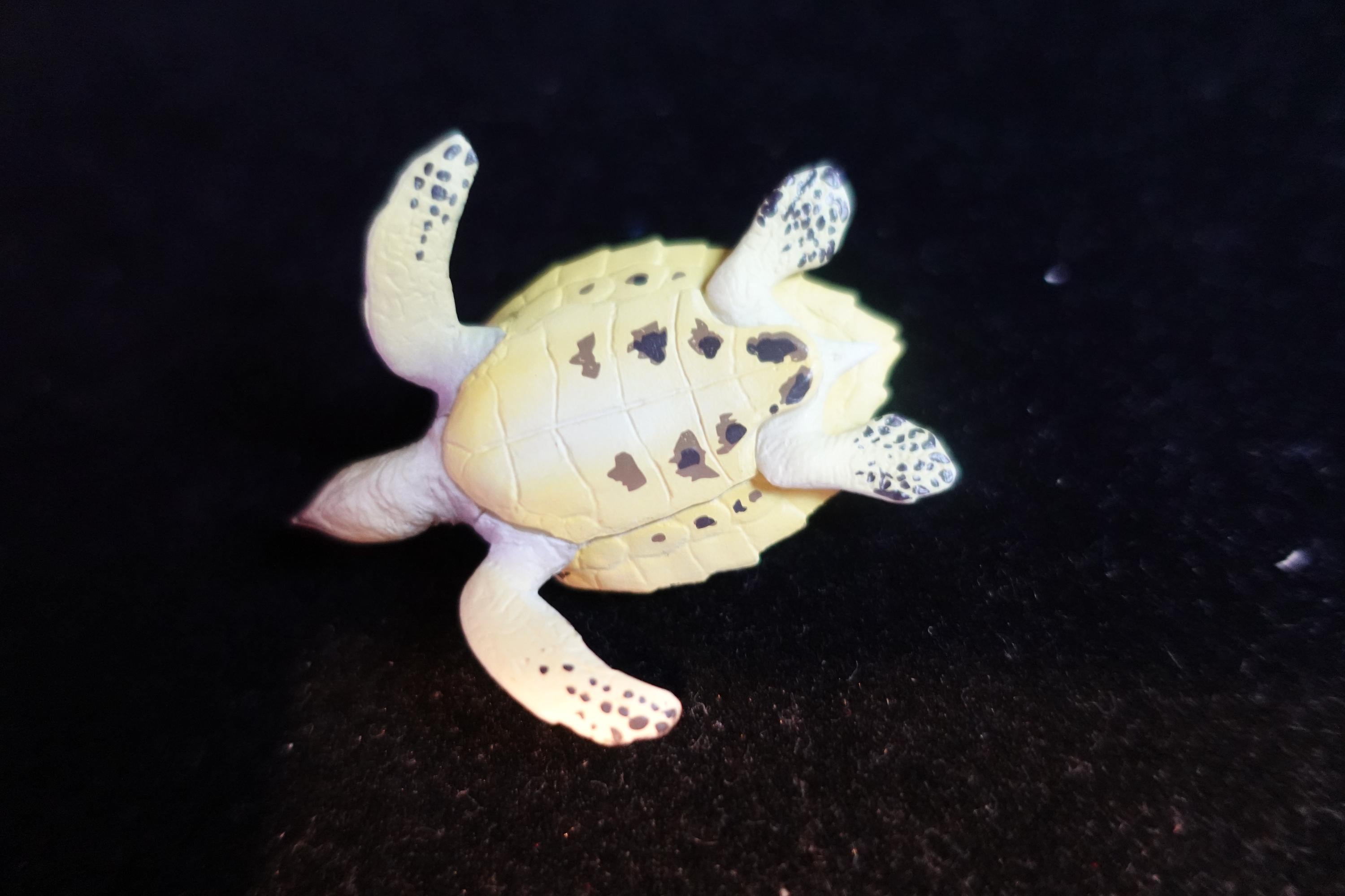 Kaiyodo ChocoQ Animatales Series 8 Hawksbill Turtle