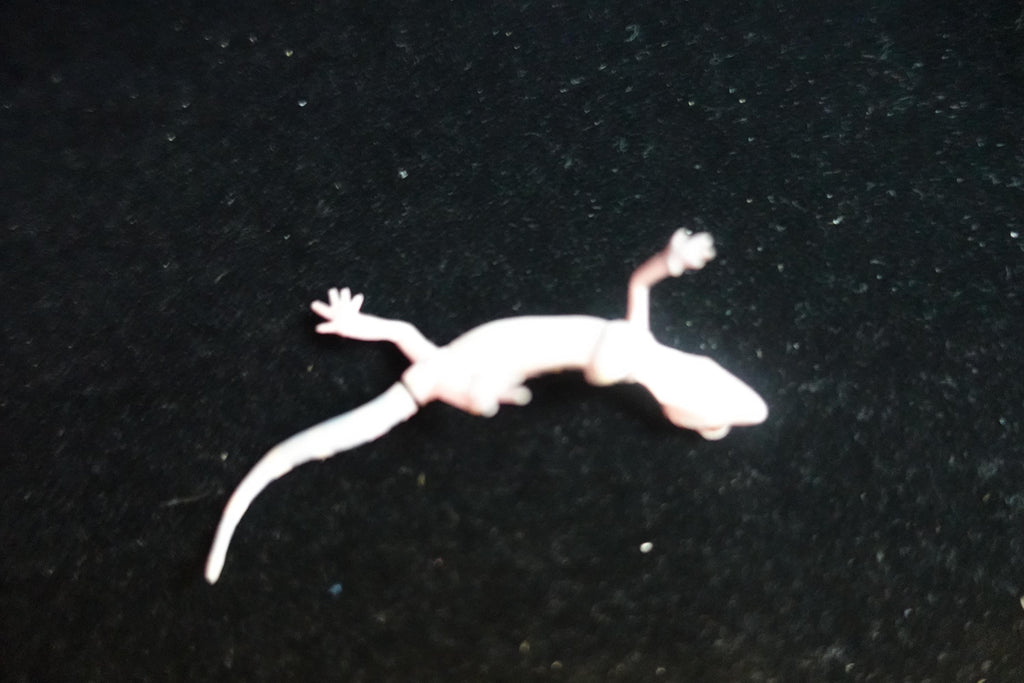 Kaiyodo ChocoQ Animatales Series 8 Spotted Short Tail Gecko Lizard B