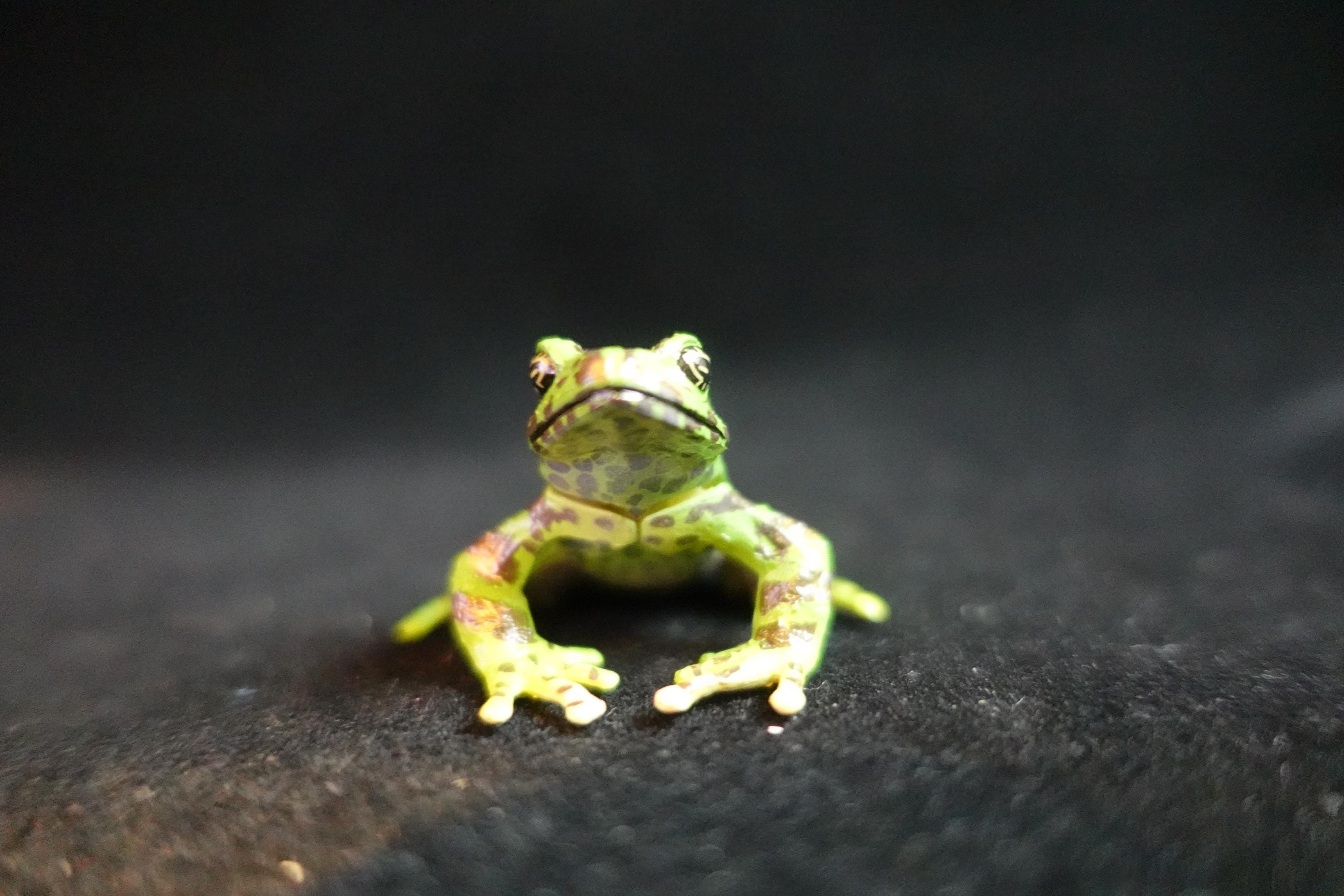 Kaiyodo ChocoQ Animatales Series 8 Ishikawa's Frog