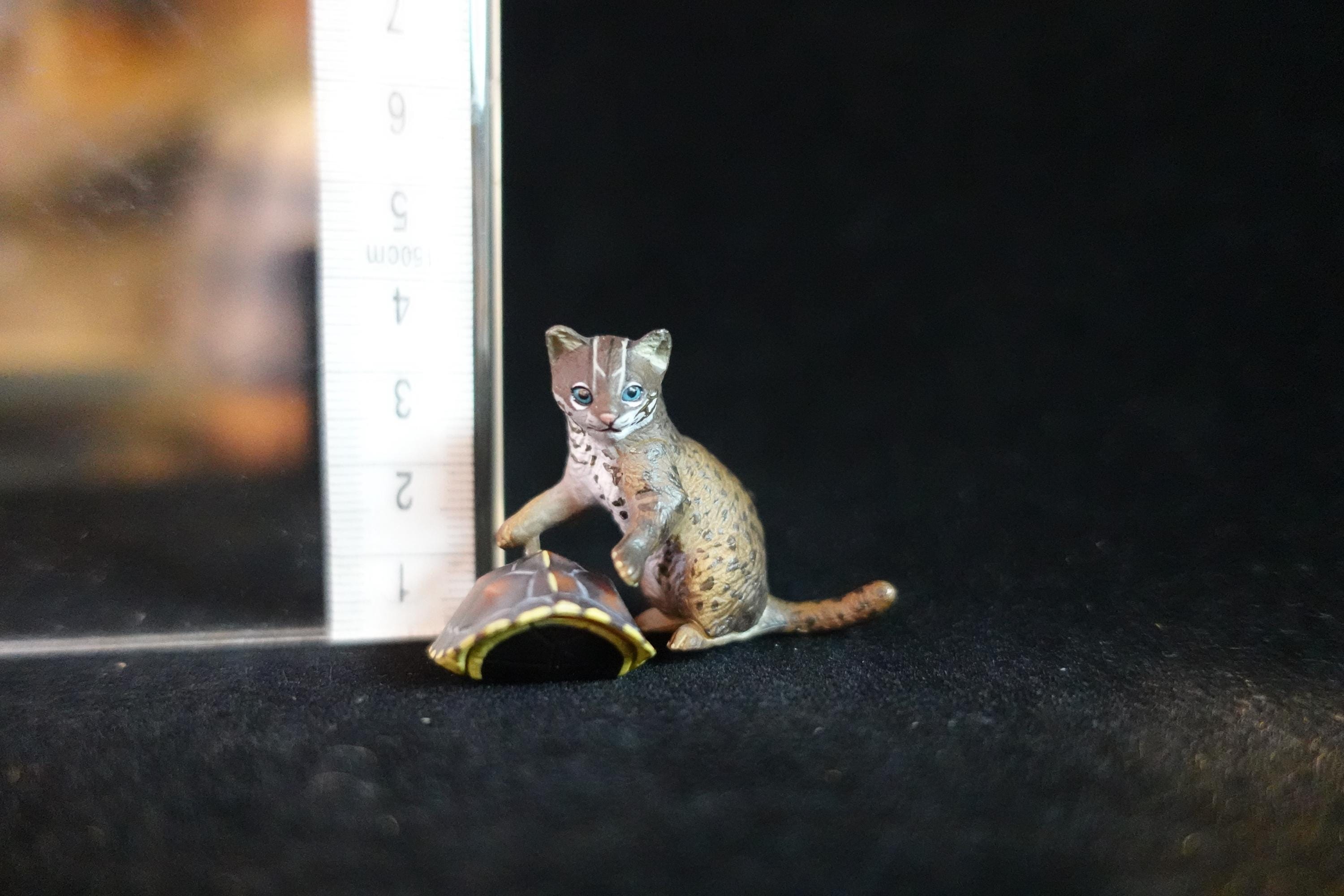 Kaiyodo ChocoQ Animatales Series 8 Baby Iriomote wildcat Cat