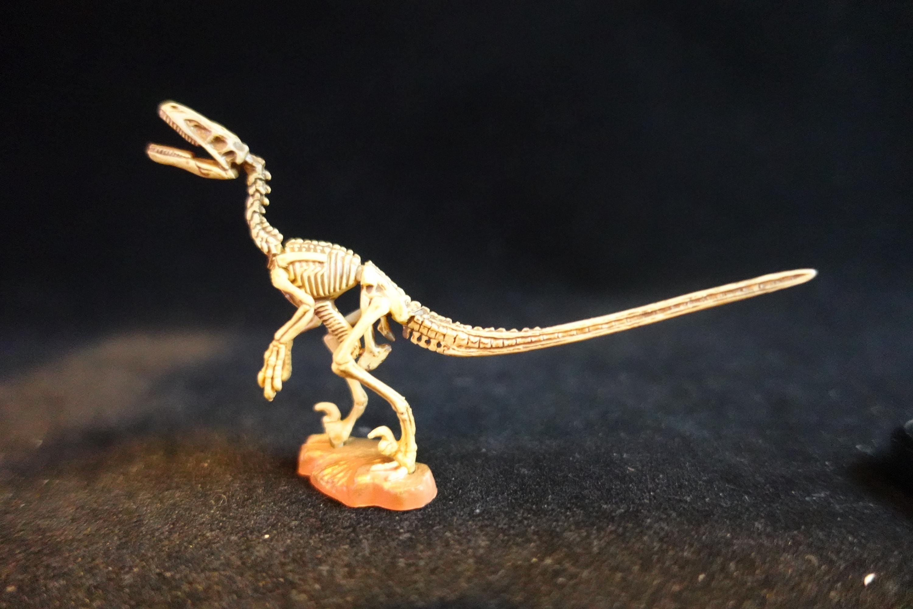 Kaiyodo UHA Dinotales Series3 Deinonychus