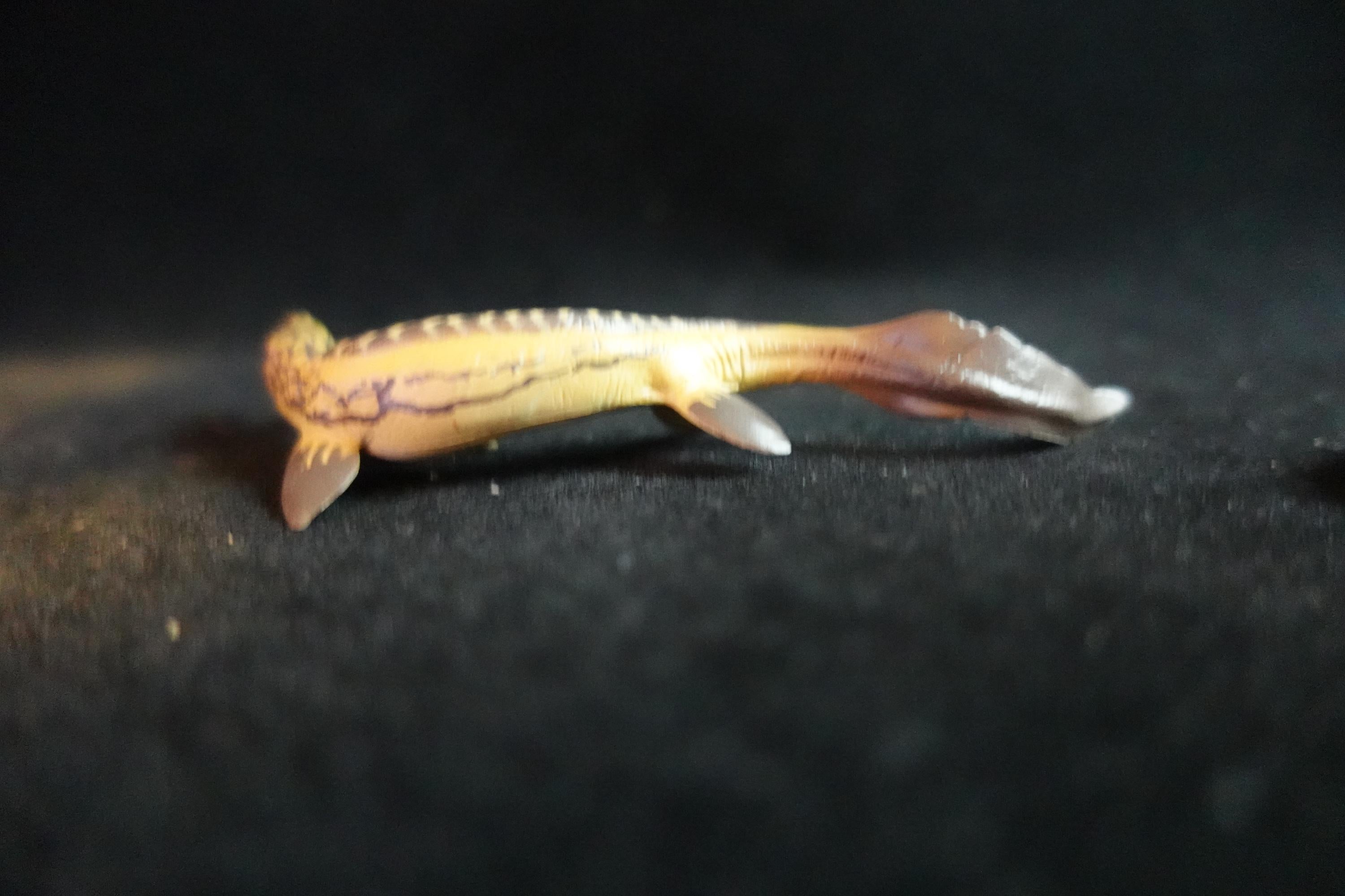 Kaiyodo UHA Dinotales Series3 Tyrosaurus