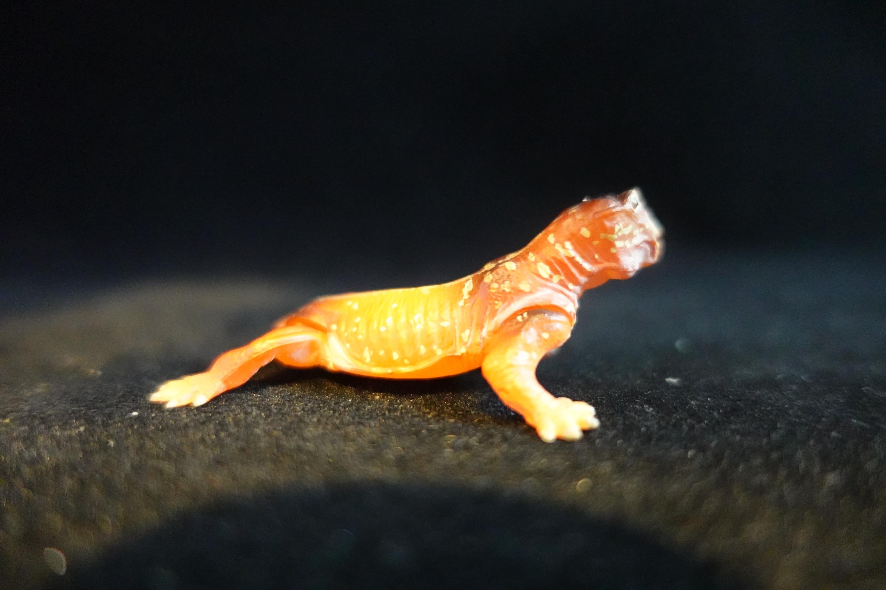 Kaiyodo UHA Dinotales Series3 Lystorosaurus