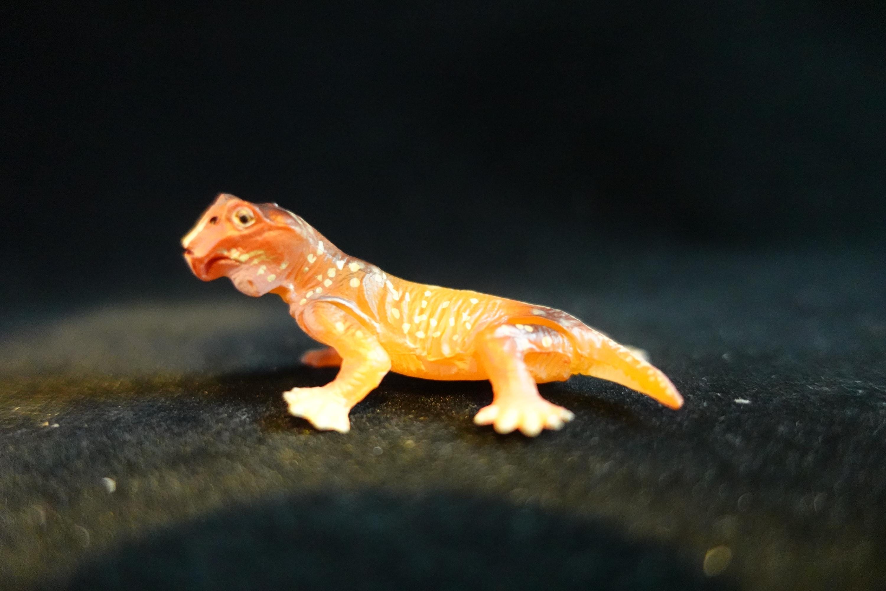 Kaiyodo UHA Dinotales Series3 Lystorosaurus