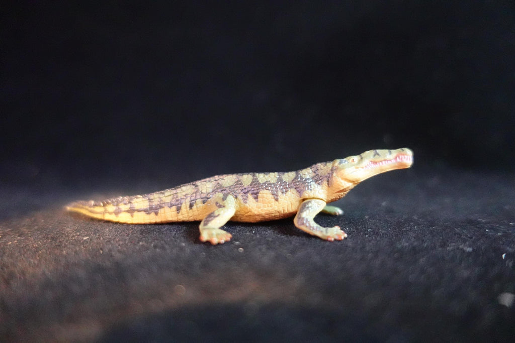 Kaiyodo UHA Dinotales Series 3 Rutiodon