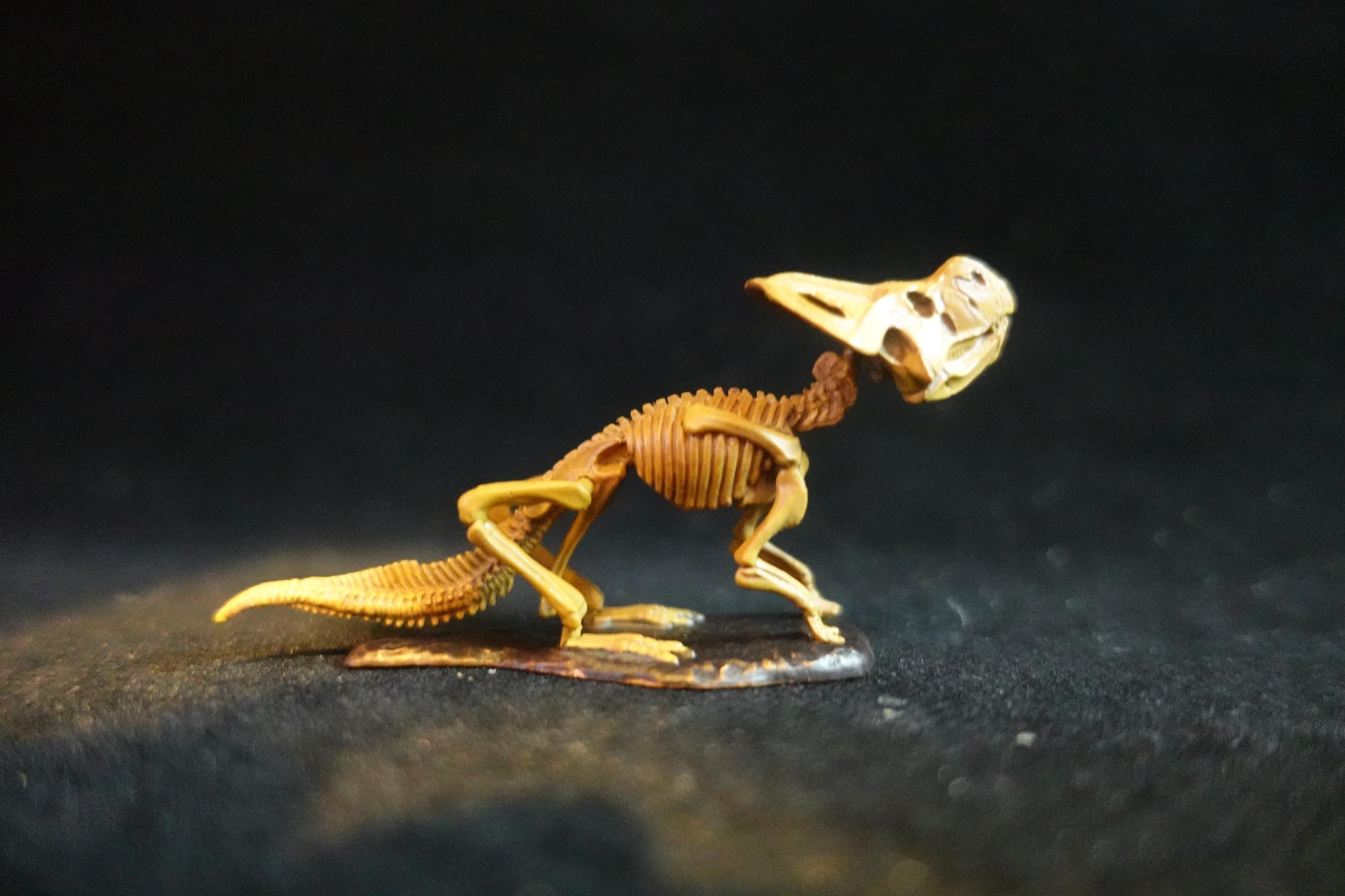 Kaiyodo Dinotales 6 Lawson Edition Limited Protoceratops Skeleton B