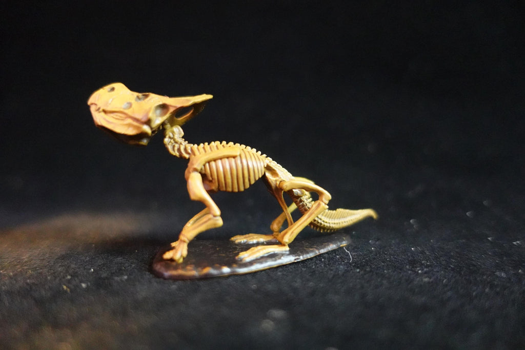 Kaiyodo Dinotales 6 Lawson Edition Limited Protoceratops Skeleton B