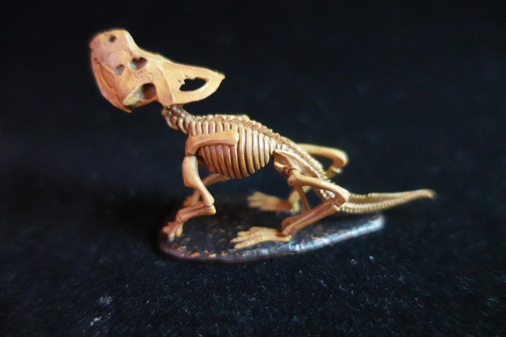 Kaiyodo Dinotales 6 Lawson Edition Limited Protoceratops Skeleton B