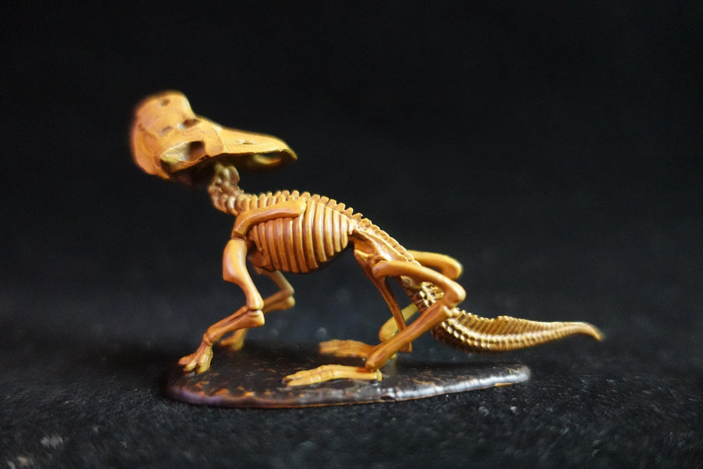 Kaiyodo Dinotales 6 Lawson Edition Limited Protoceratops Skeleton B
