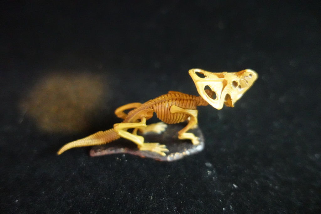Kaiyodo Dinotales 6 Lawson Edition Limited Protoceratops Skeleton B