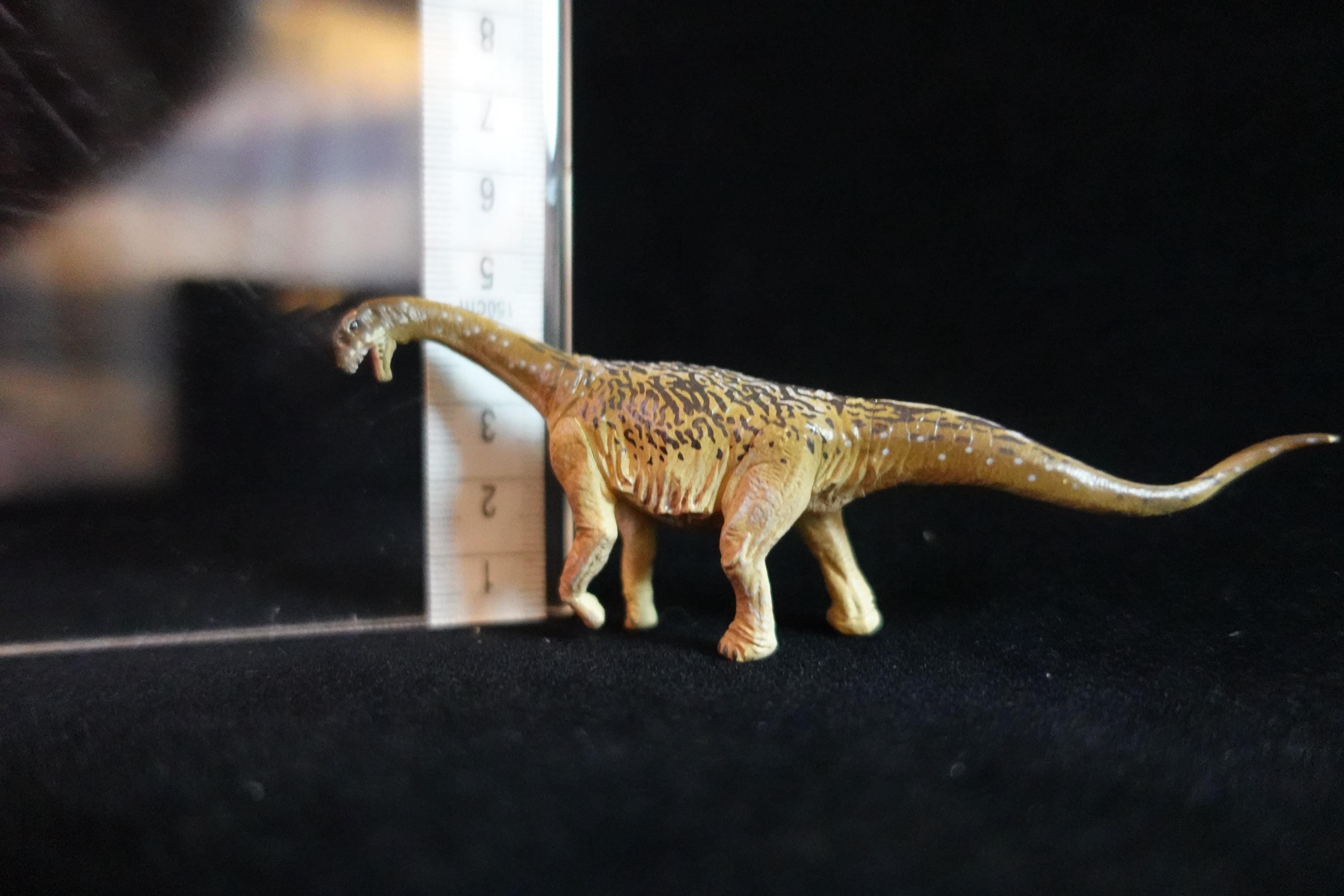 Kaiyodo Dinotales 7 Lawson Edition Part 2 Camarasaurus B
