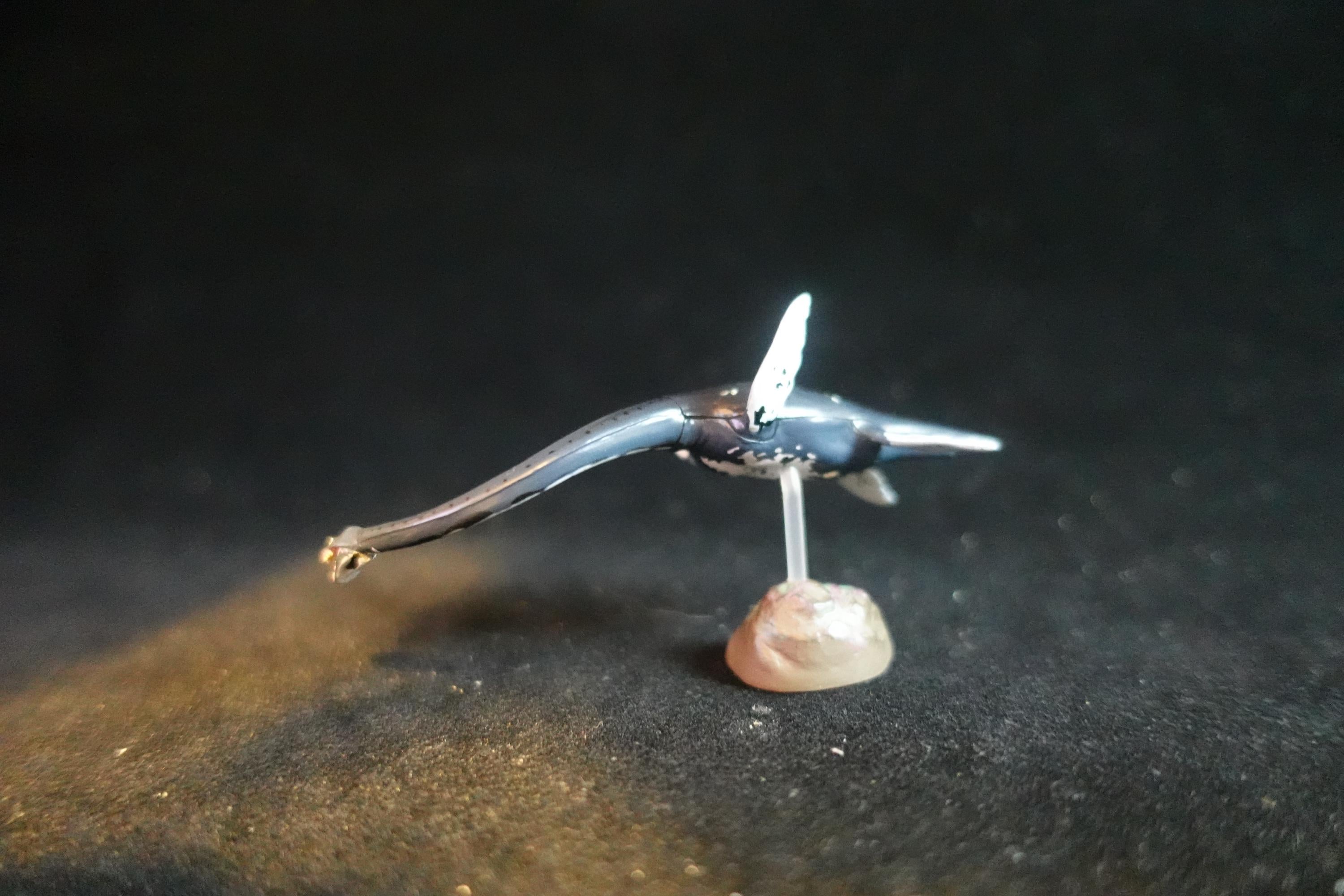 Kaiyodo Dinotales 7 Lawson Edition Part 2 Elasmosaurus A