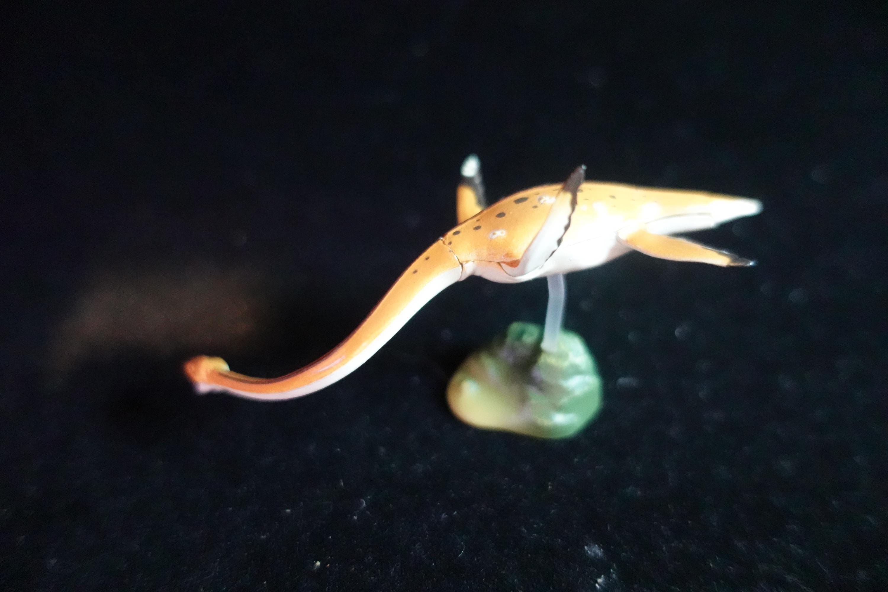 Kaiyodo Dinotales 7 Lawson Edition Part 2 Elasmosaurus B