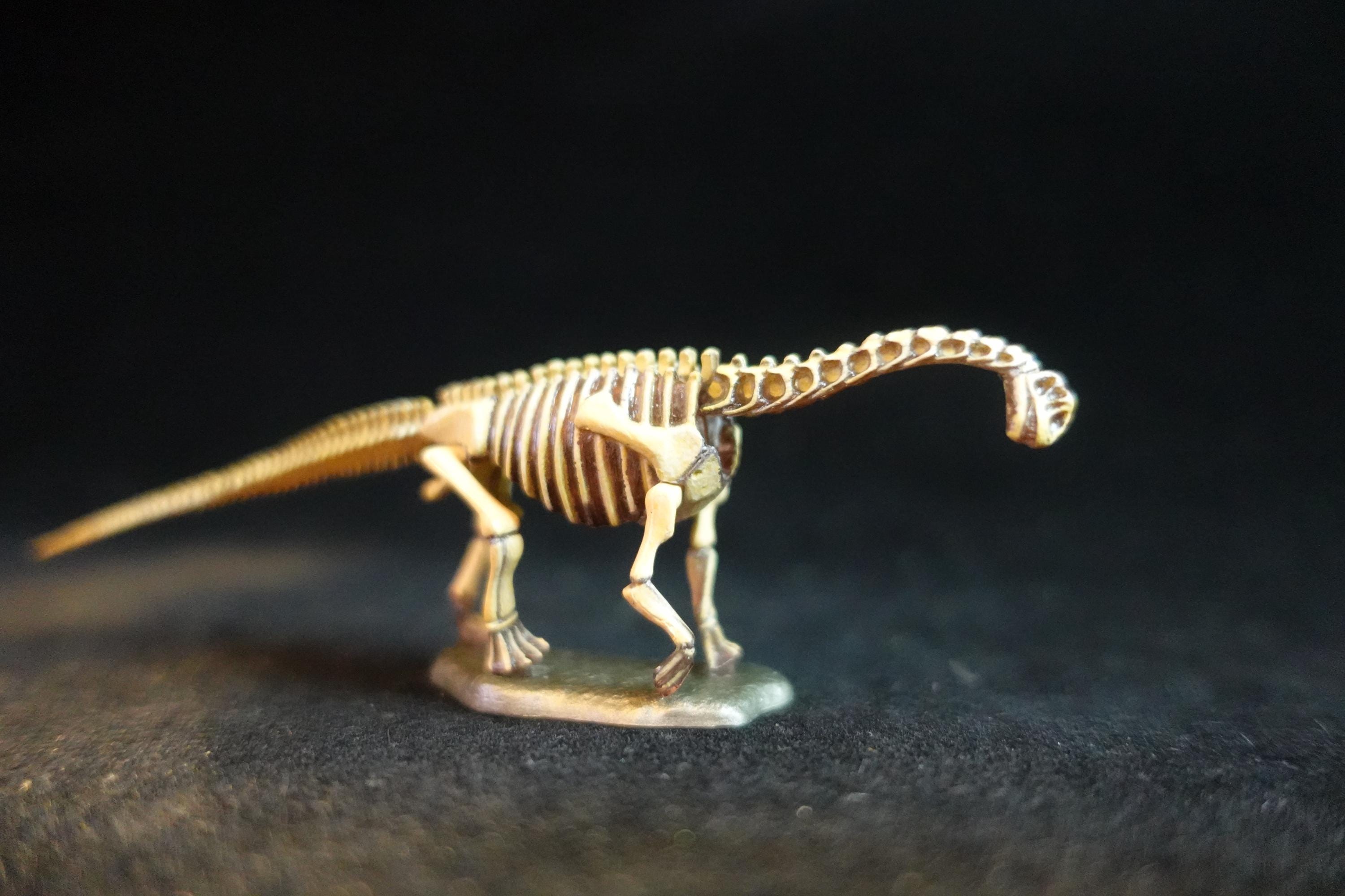 Kaiyodo Dinotales 7 Lawson Edition Part 2 Camarasaurus B