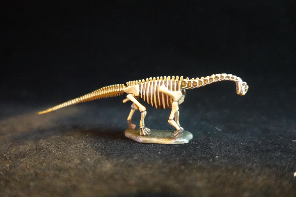 Kaiyodo Dinotales 7 Lawson Edition Part 2 Camarasaurus B