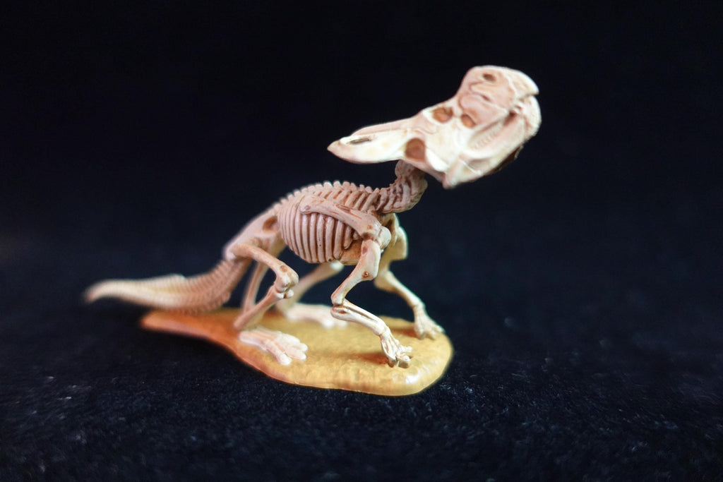 Kaiyodo Dinotales 6 Lawson Edition Limited Protoceratops Skeleton A