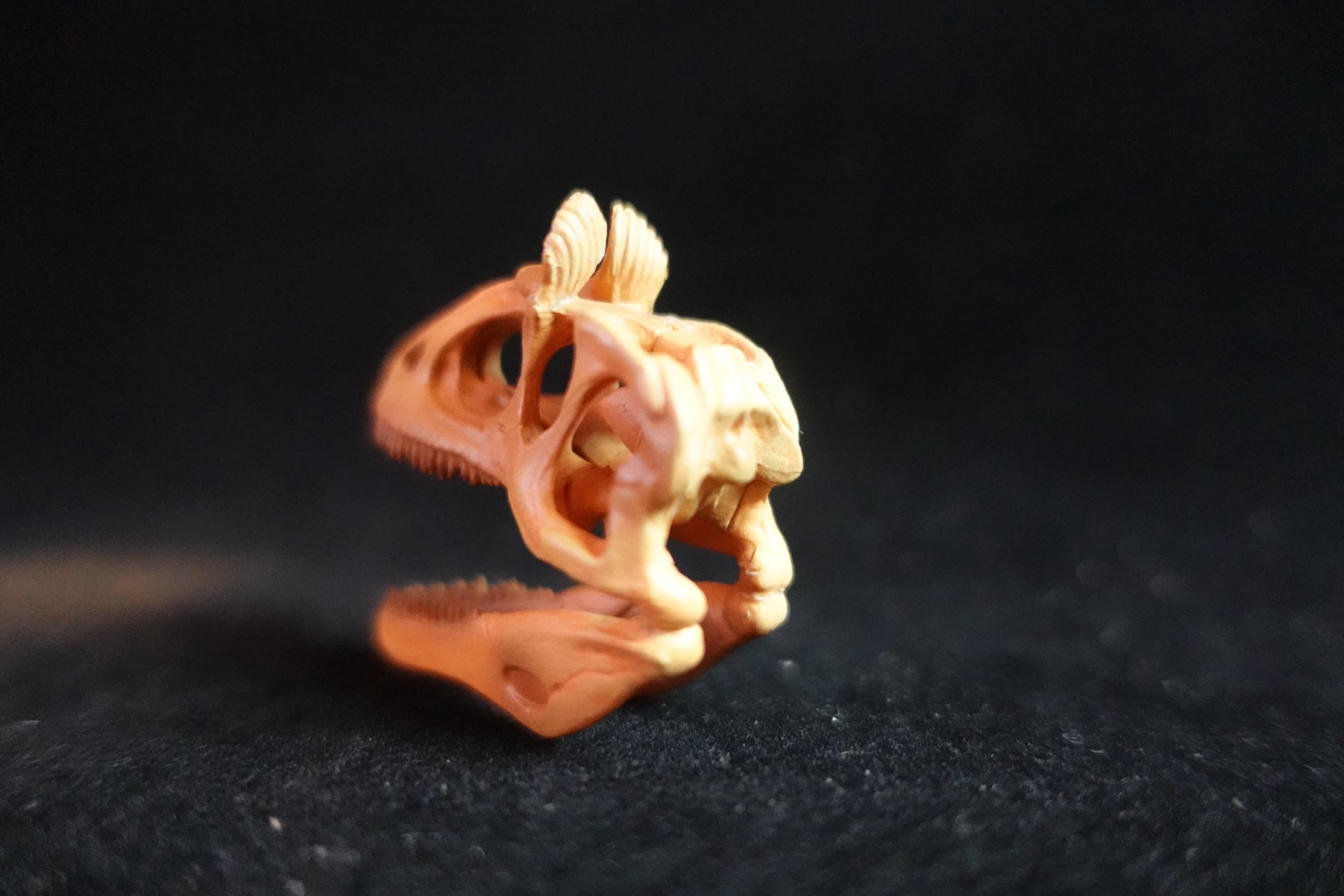 Kaiyodo Dinotales 6 Lawson Edition Limited Cryorophosaurus A