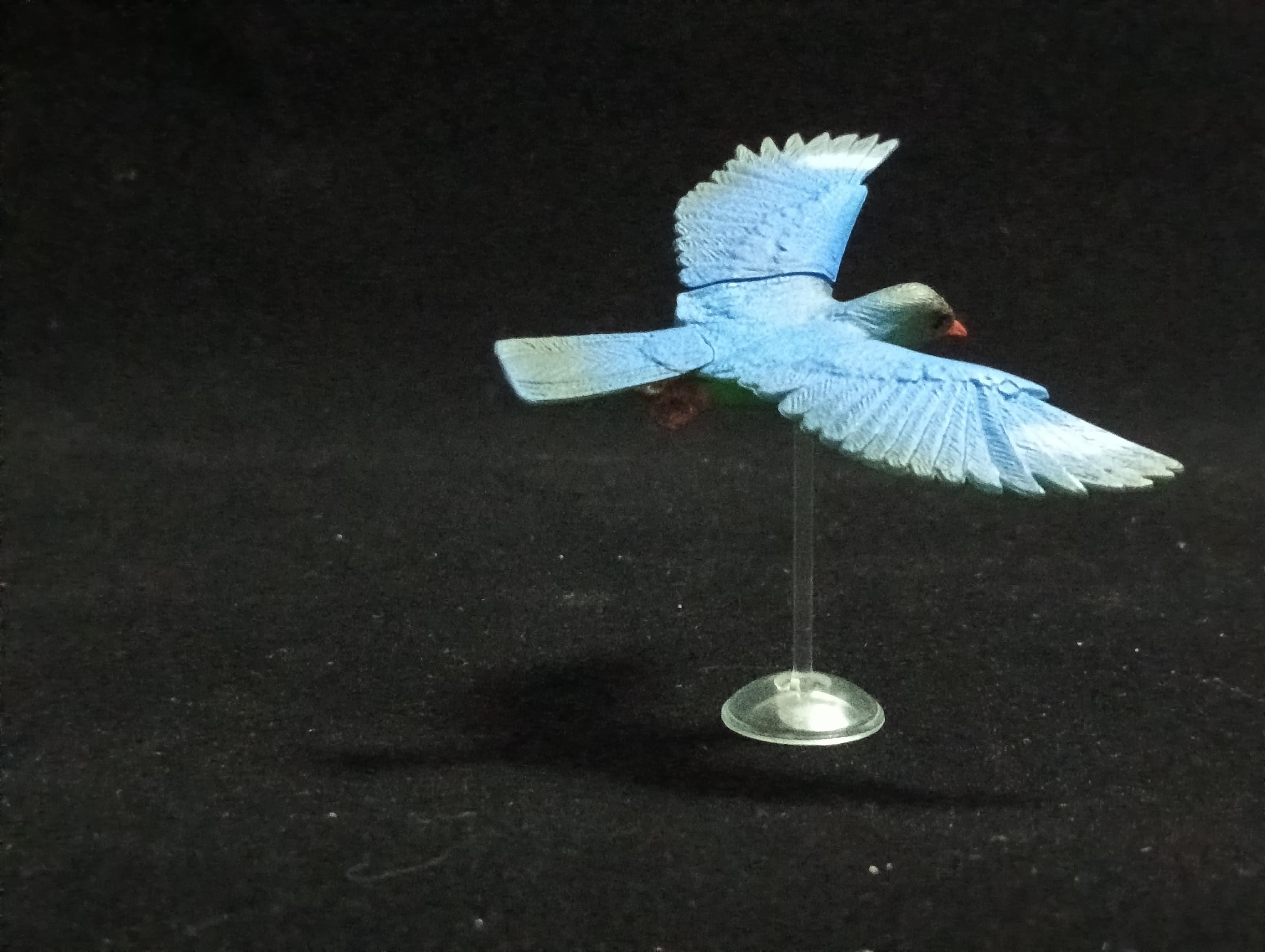 Miniature Long-breasted Carpenter (Collindae) Figurine - New Zealand pigeon Kaiyodo