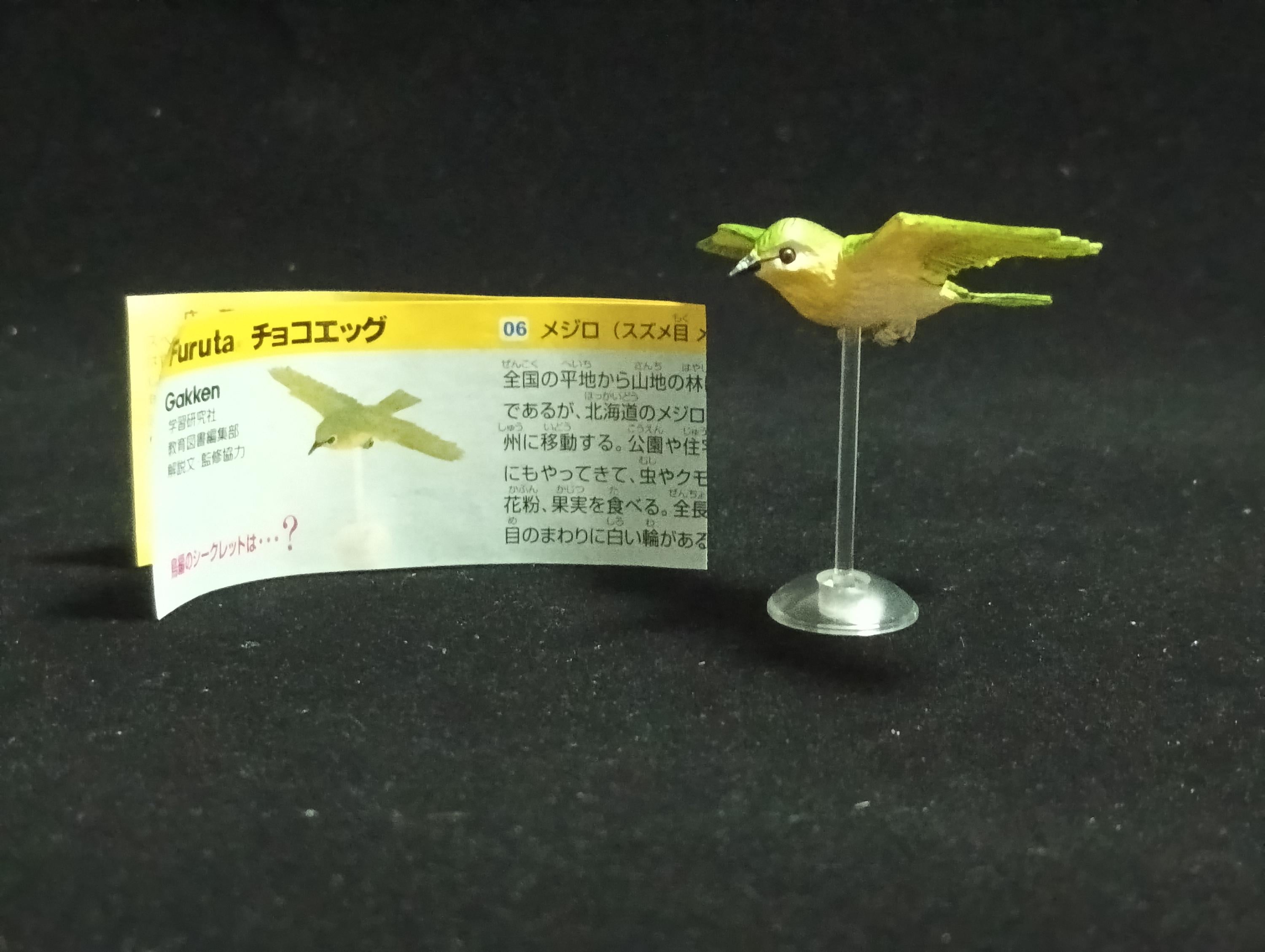 Miniature Japanese white-eyed bird Figurine - Kaiyodo